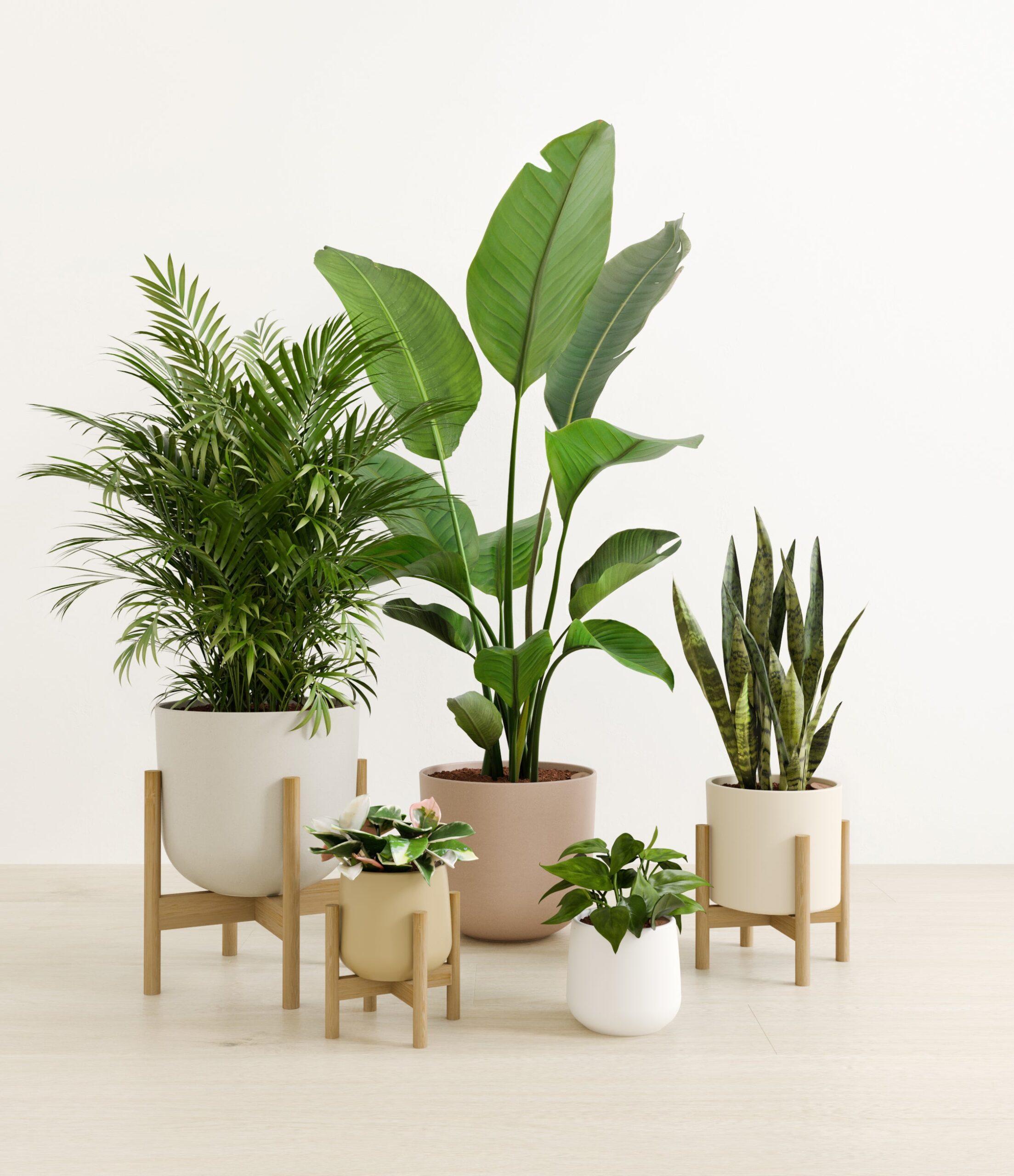 Giving_Roots_studio_misty_morning_palette_stand.jpg