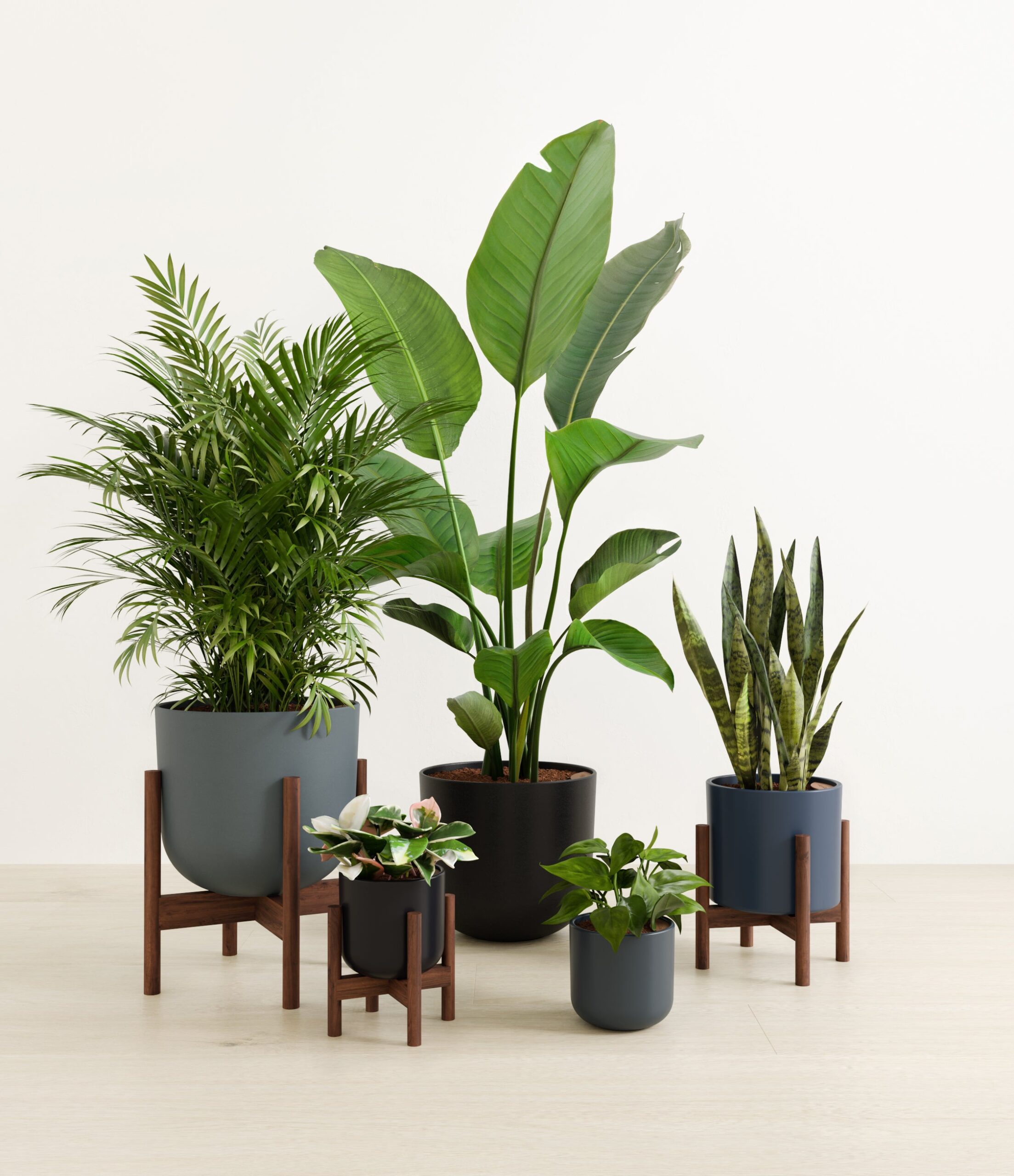 Giving_Roots_studio_stone_palette_stand.jpg