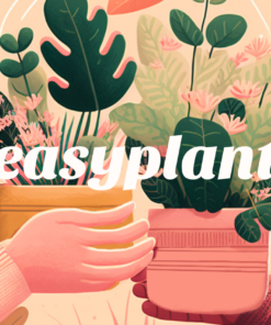 Easyplant gift card