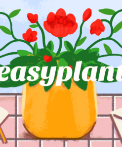 Easyplant gift card