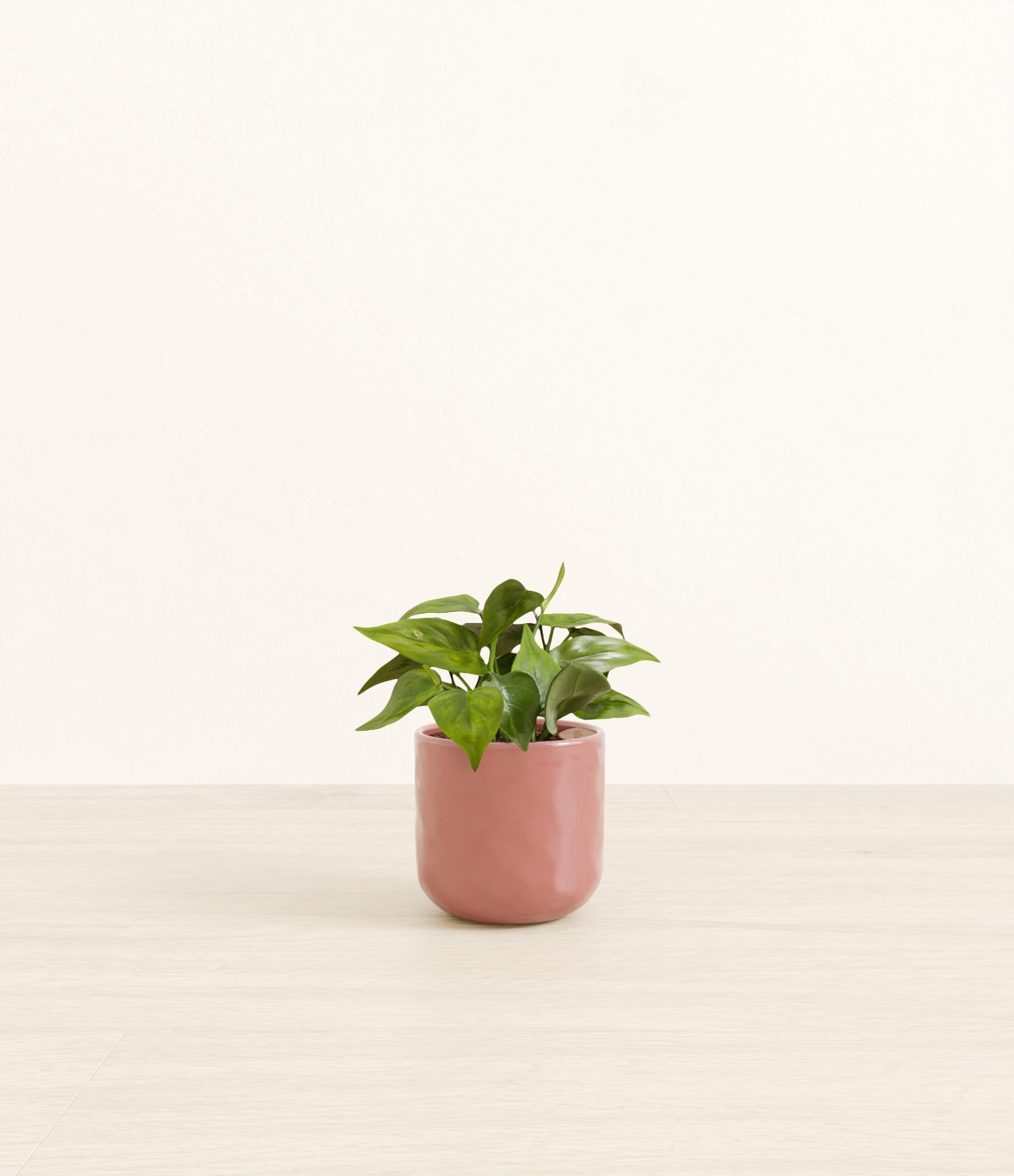 Heartleaf_pink_hammered.jpg