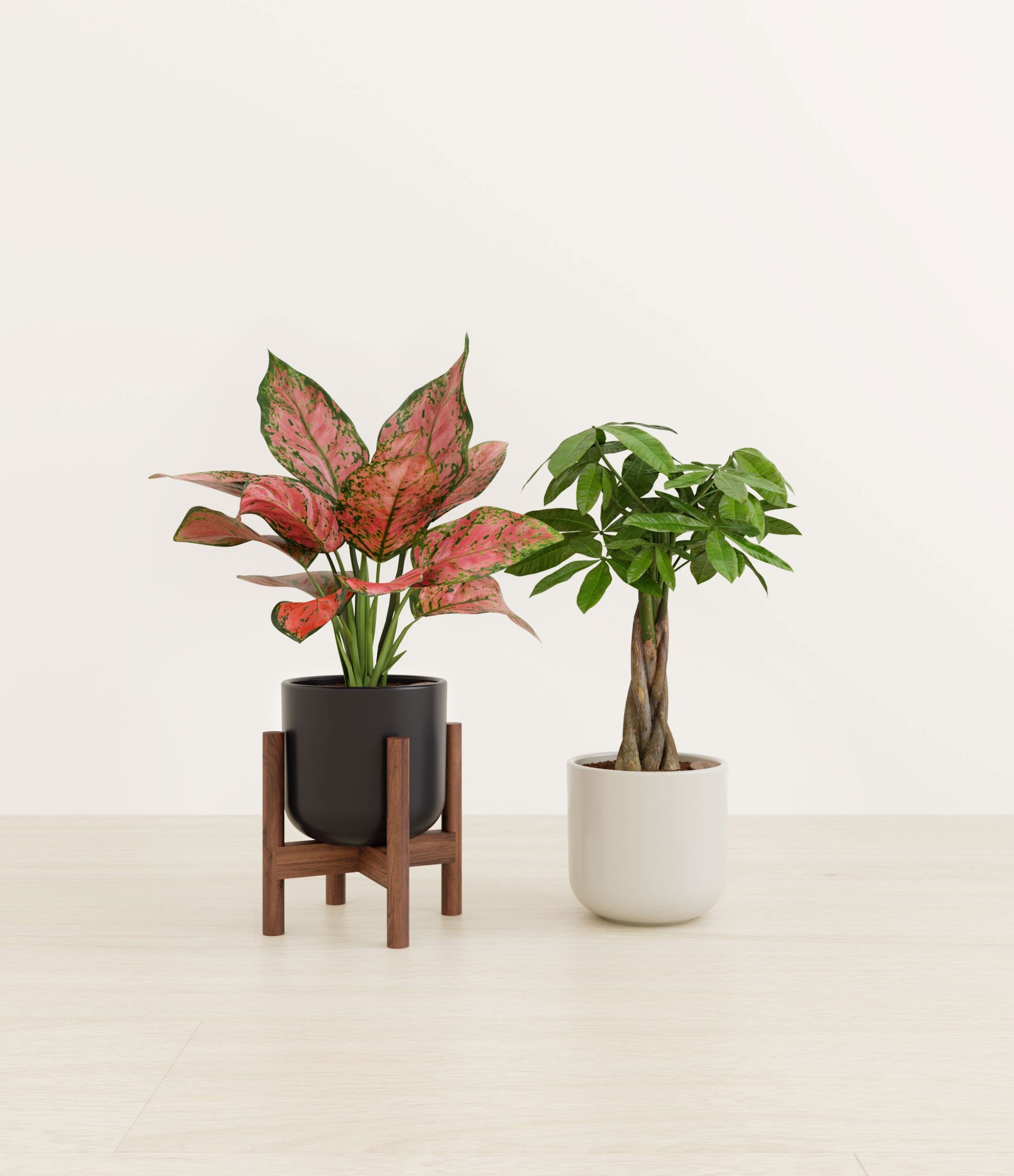 Index_Studio_573024_orca_stand.jpg