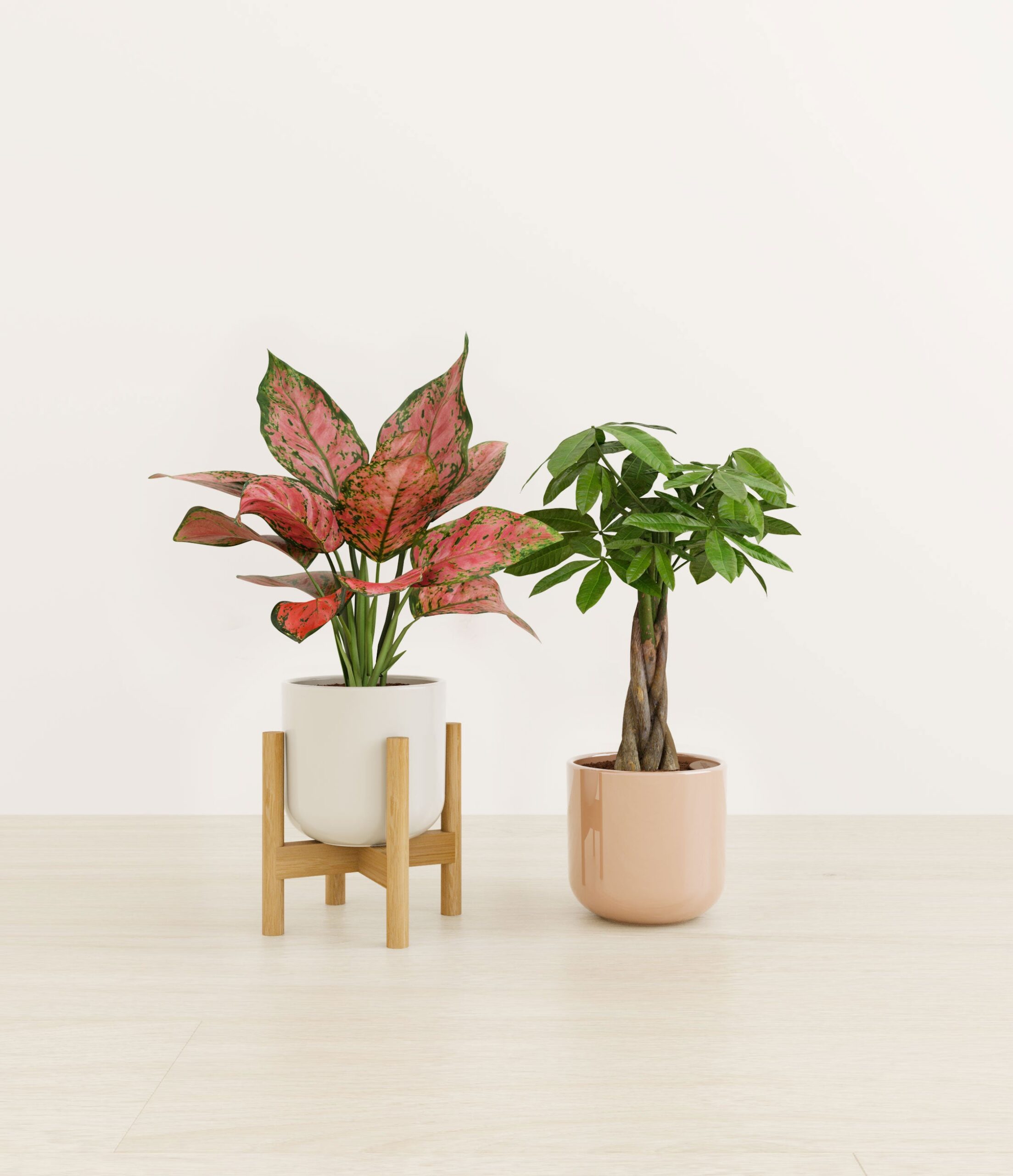 Index_Studio_573024_rose_petal_stand.jpg