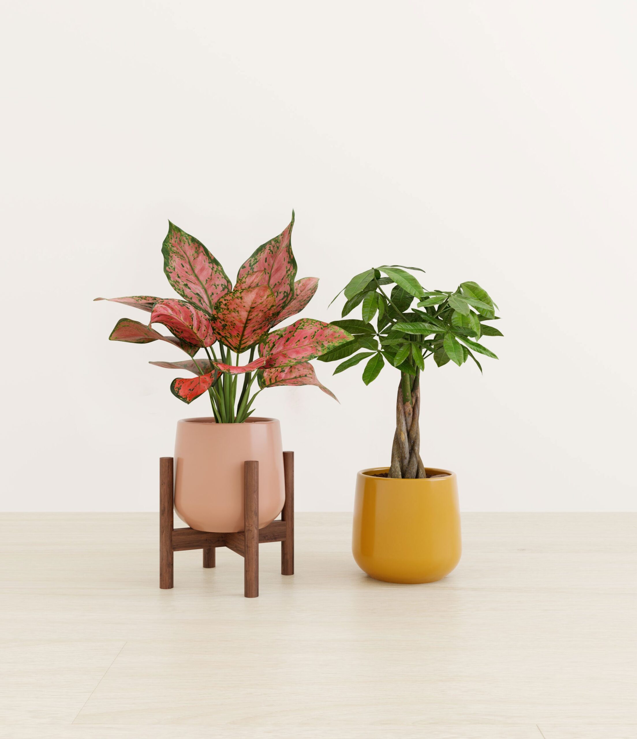 Index_Studio_573024_sunset_stand.jpg
