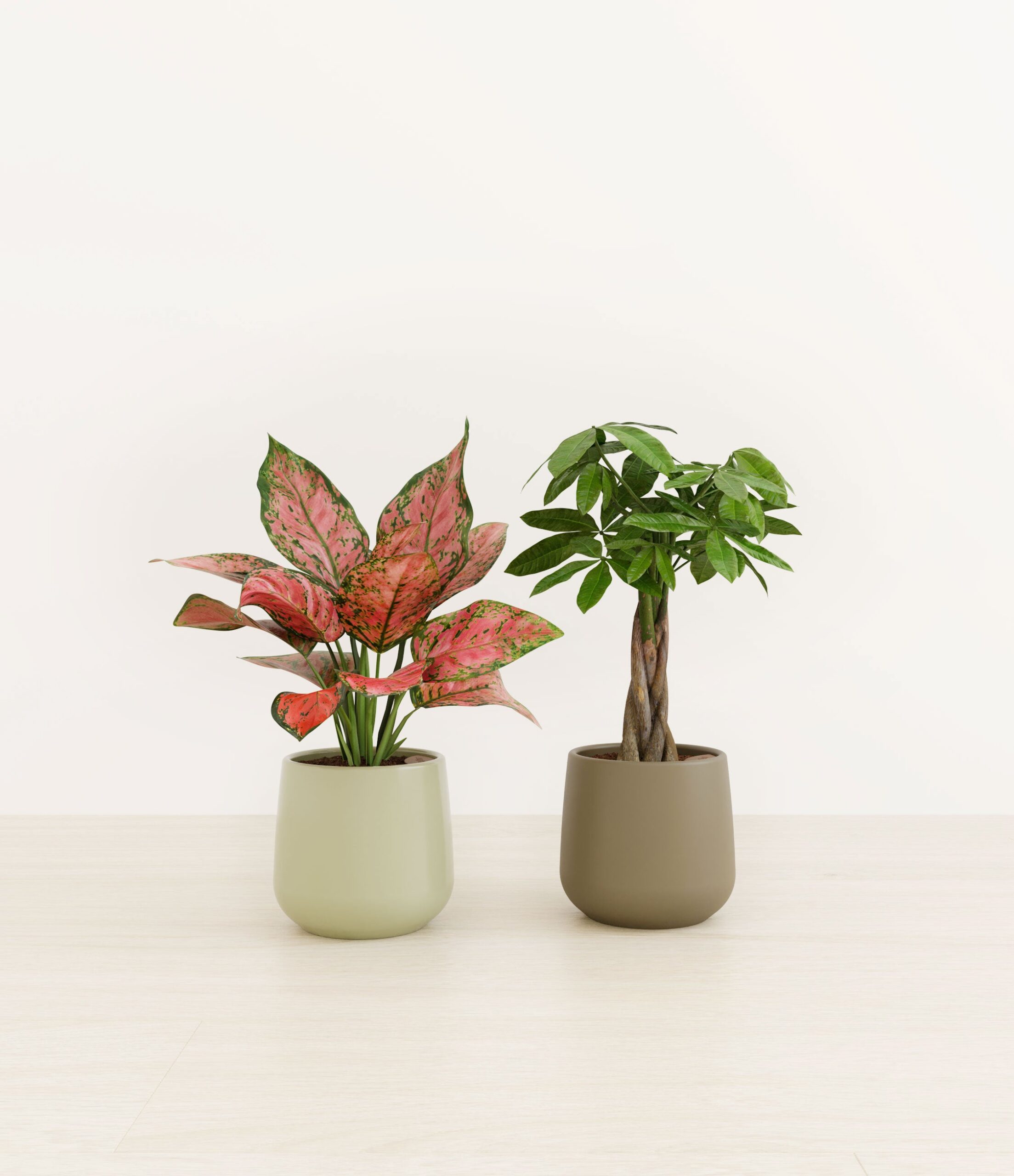 Index_Studio_573024_woodland_hues.jpg