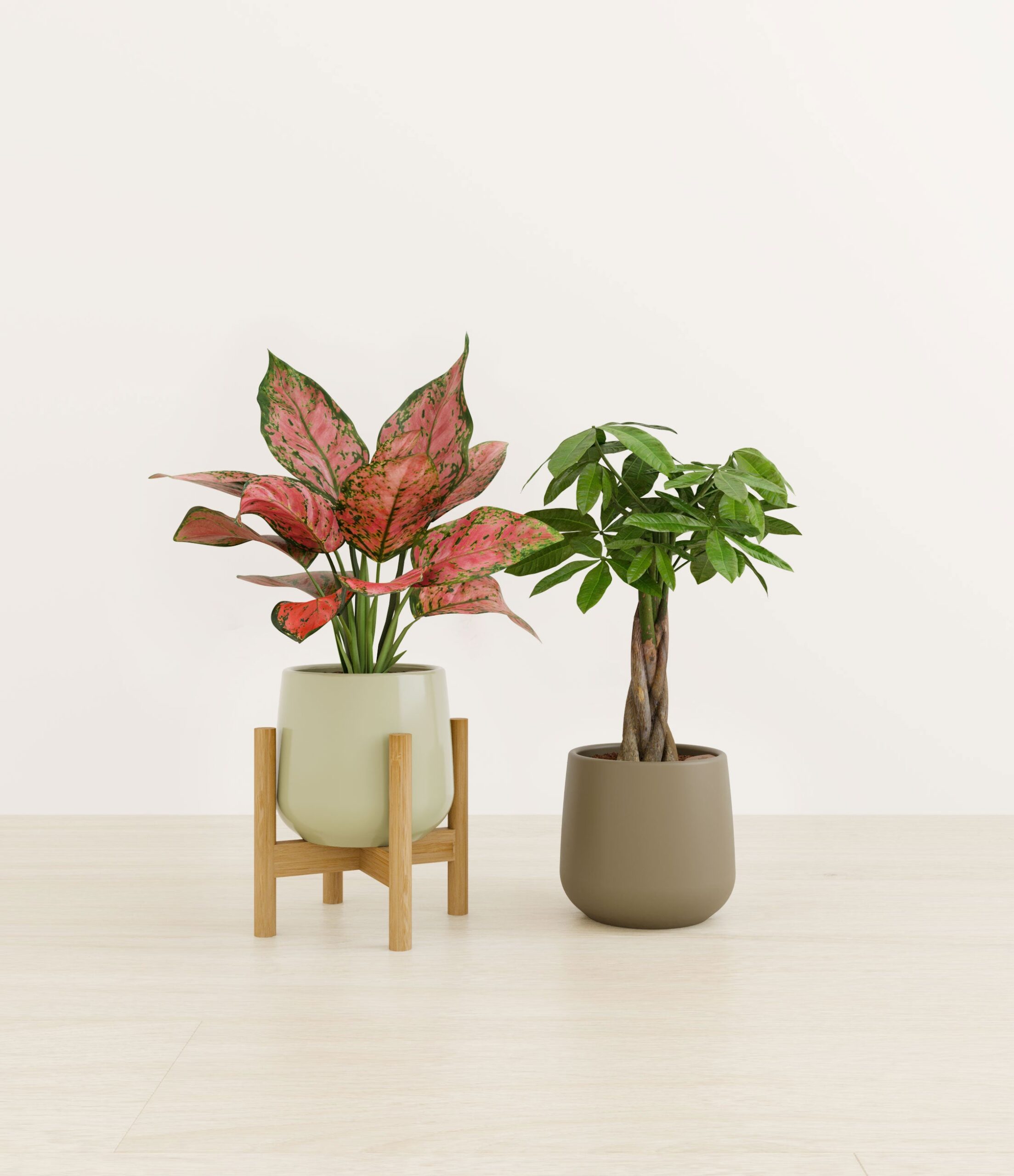 Index_Studio_573024_woodland_hues_stand.jpg