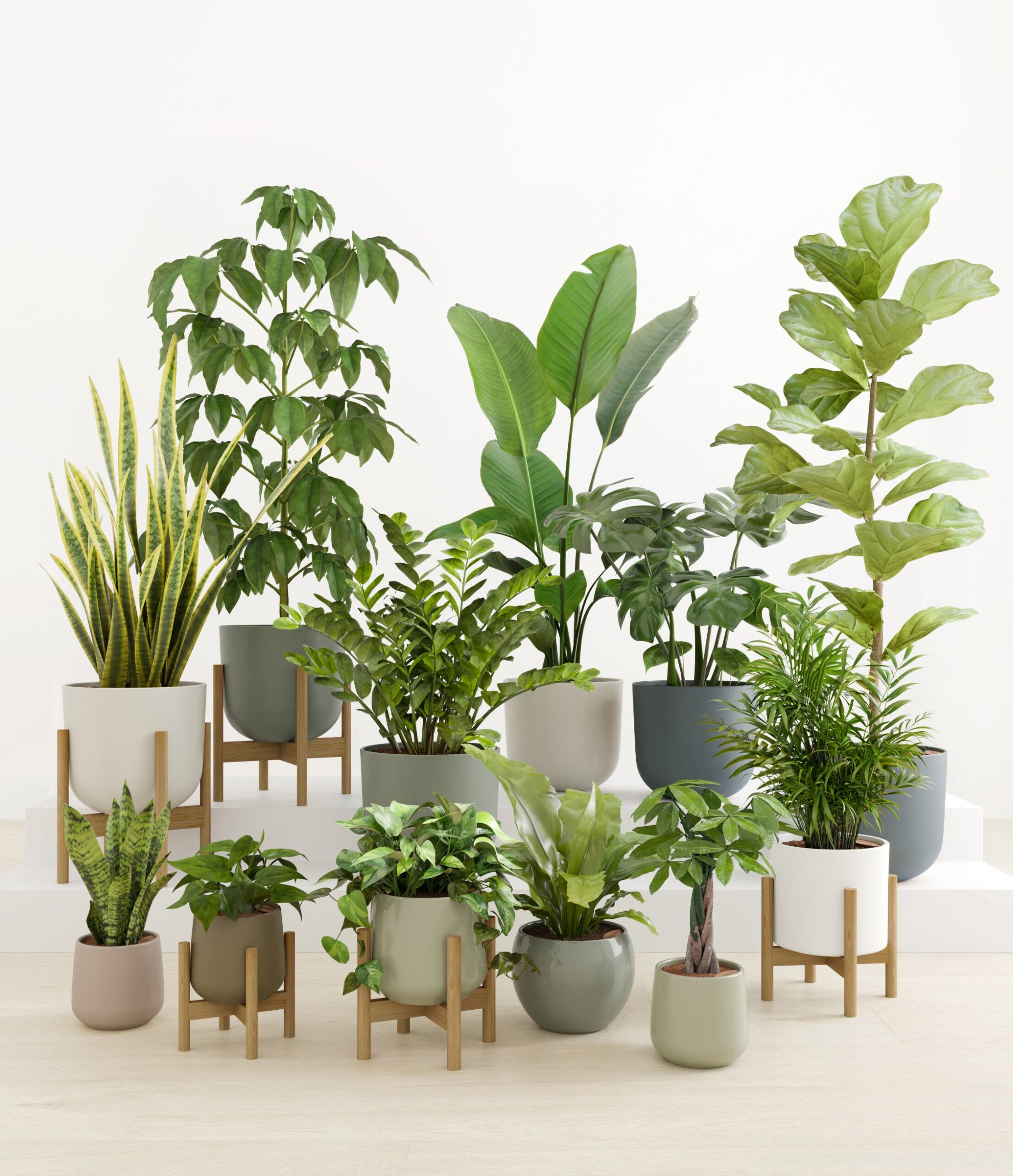 Jaw-Dropping_Jungle_studio_countryside_5_stands_d8ba6a1f-bf29-46e2-8845-25ba56a48dd9.jpg
