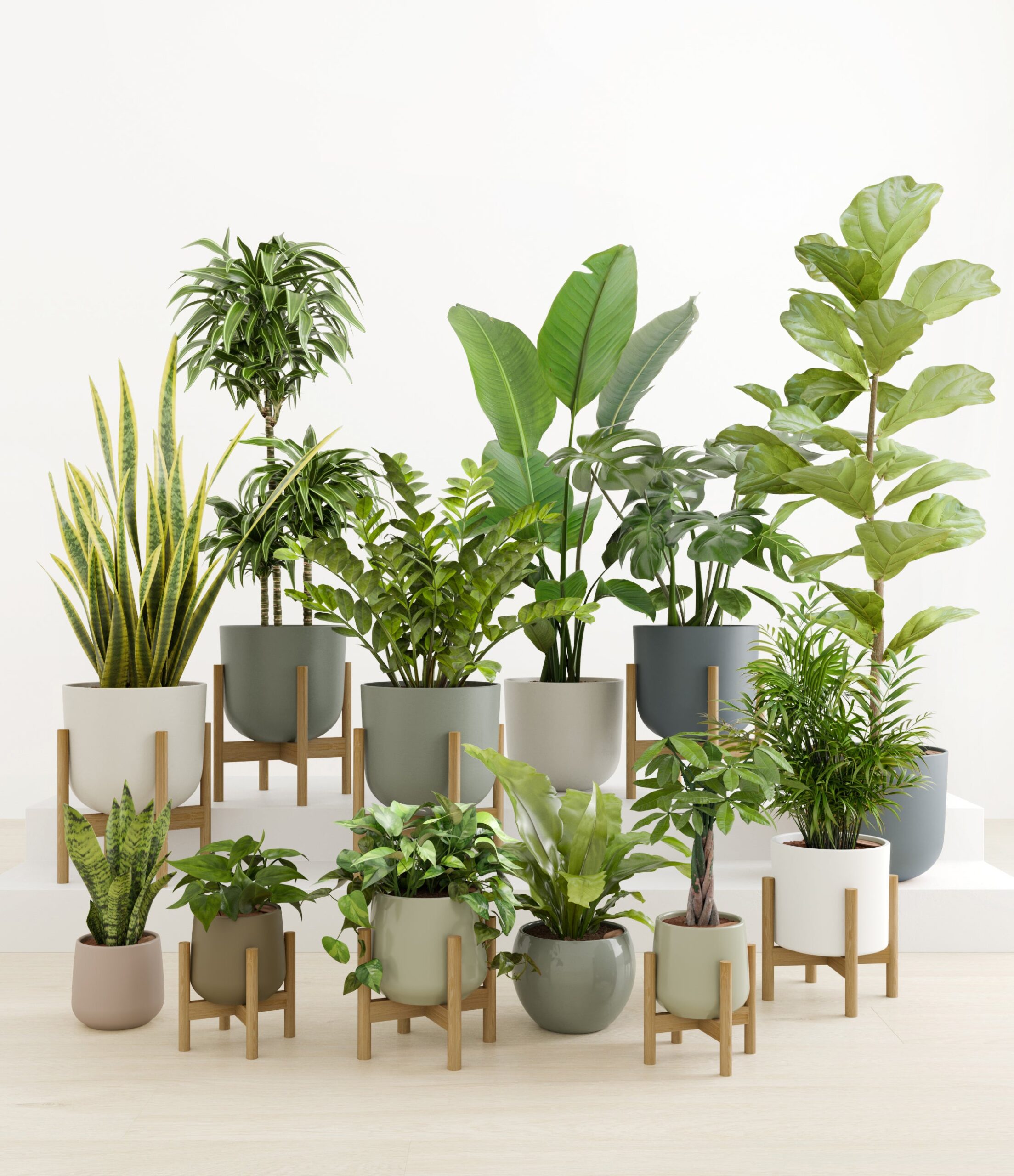 Jaw-Dropping_Jungle_studio_countryside_8_stands.jpg