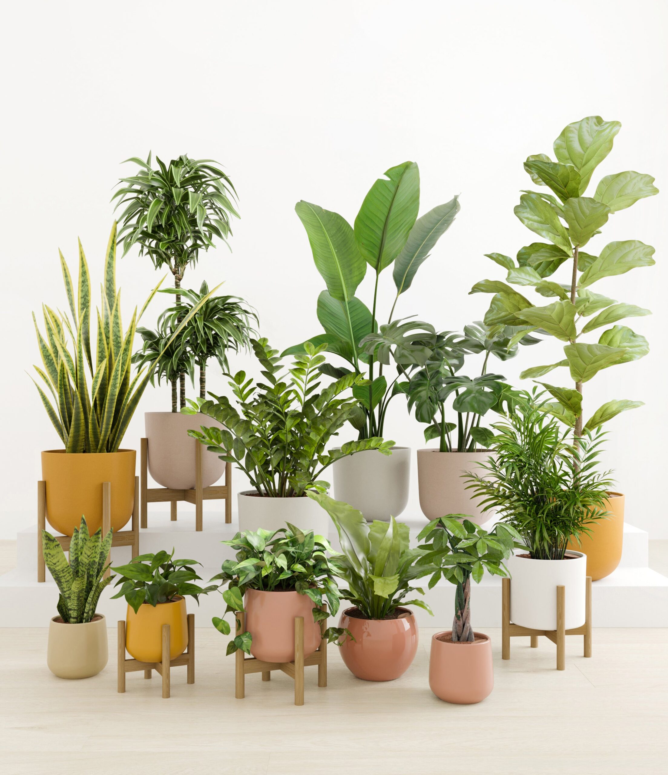 Jaw-Dropping_Jungle_studio_evening_sky_5_stands.jpg