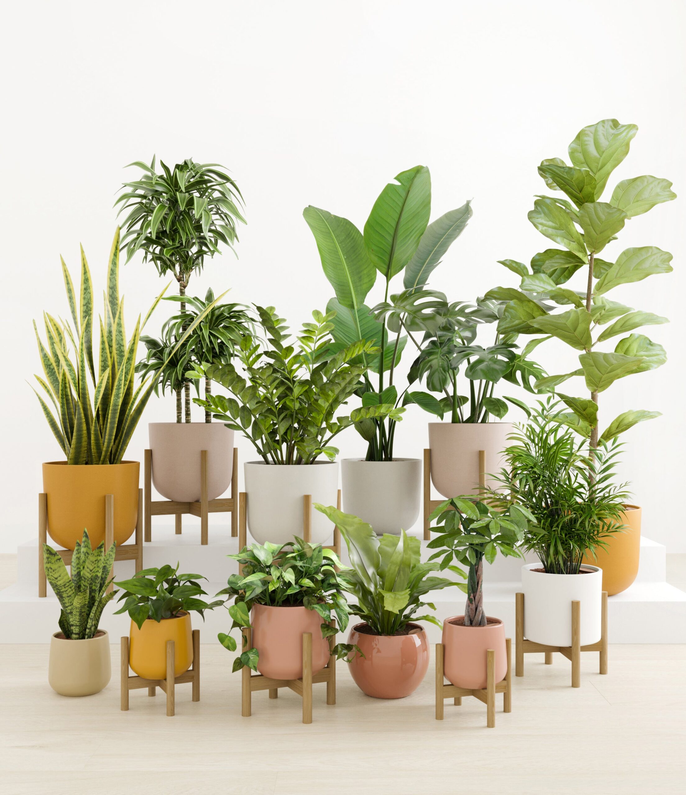 Jaw-Dropping_Jungle_studio_evening_sky_8_stands.jpg