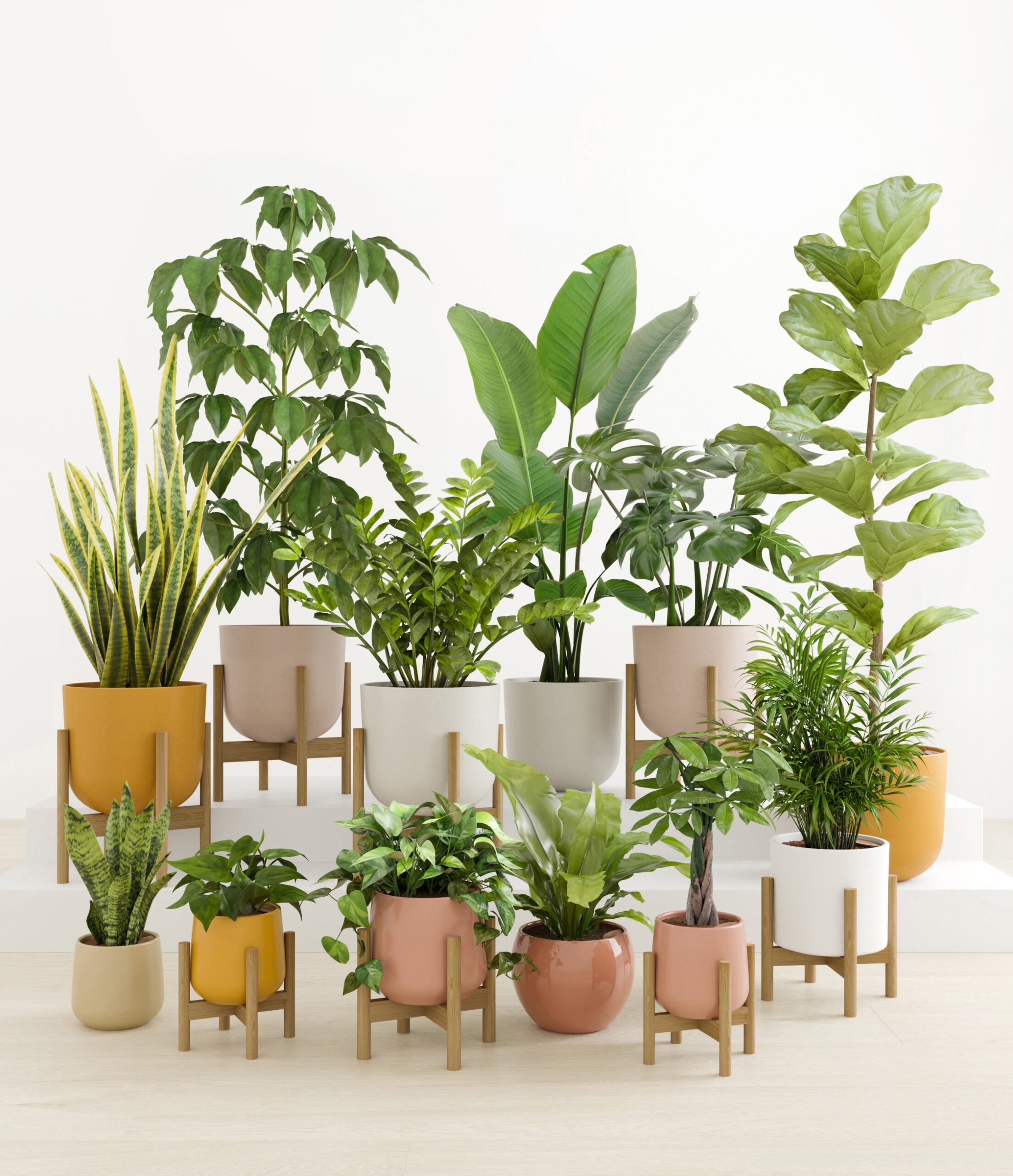 Jaw-Dropping_Jungle_studio_evening_sky_8_stands_882304b4-1d2f-408b-aaed-4eecf04e8691.jpg