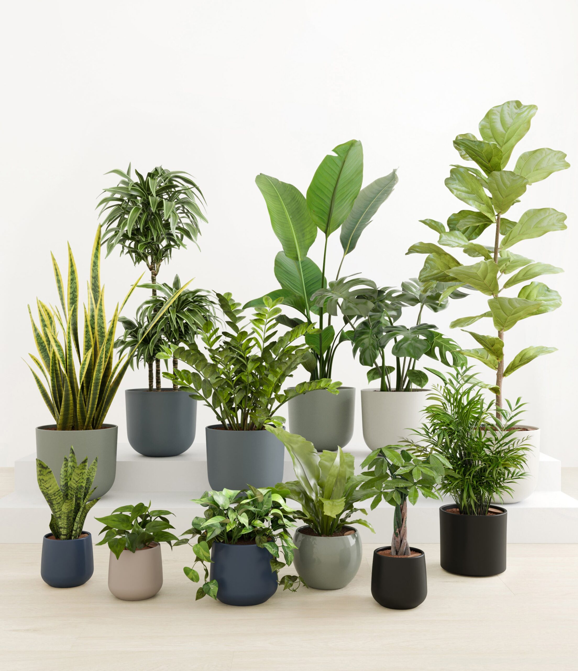 Jaw-Dropping_Jungle_studio_new_2_palette_0_stands_22237bc8-4dbf-46cf-ae51-0aff5d52404f.jpg