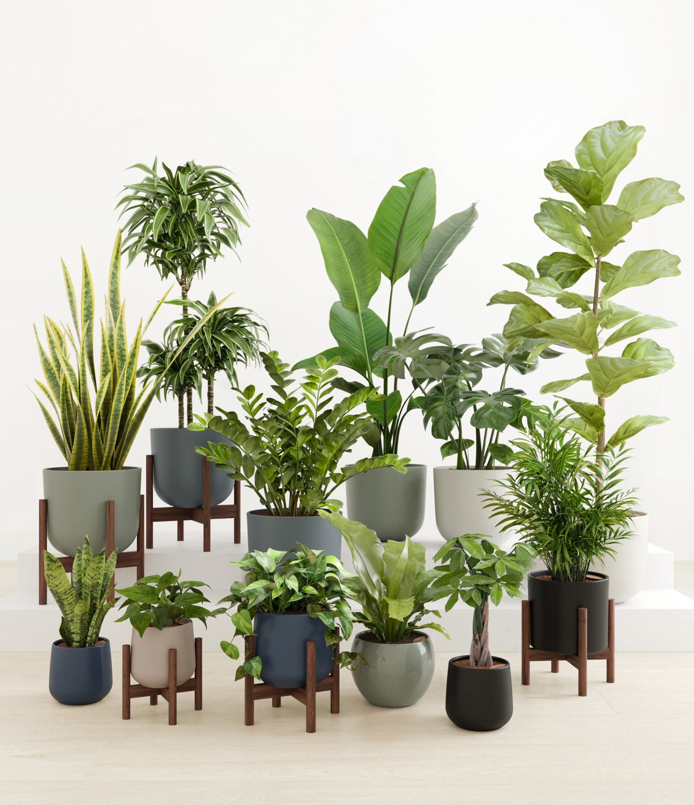 Jaw-Dropping_Jungle_studio_new_2_palette_5_stands_af9c0be0-fa5f-4e8a-a0d1-3cb090dc246c.jpg