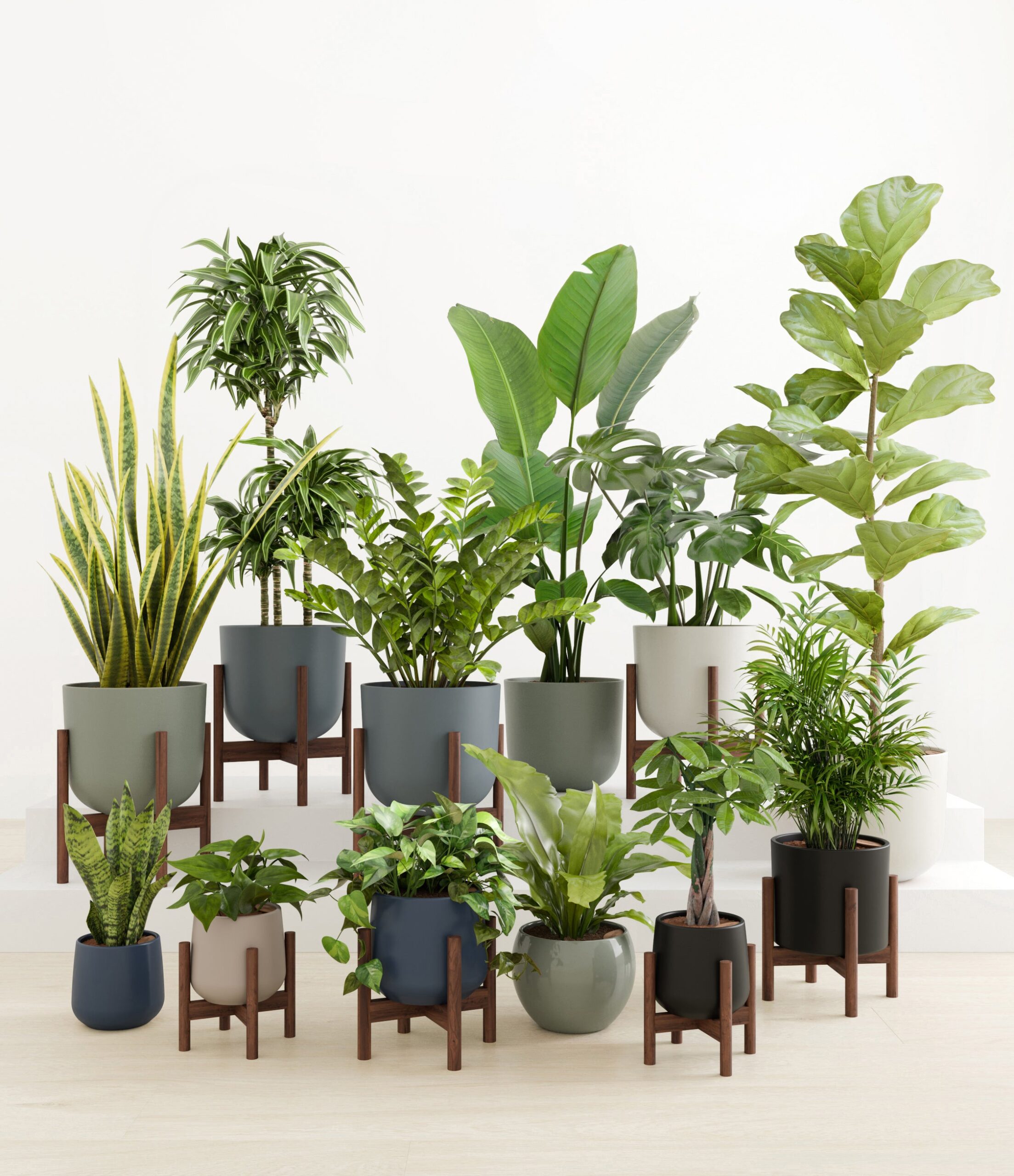 Jaw-Dropping_Jungle_studio_new_2_palette_8_stands_d8d4de65-f998-44e0-aa12-5f299647afd4.jpg