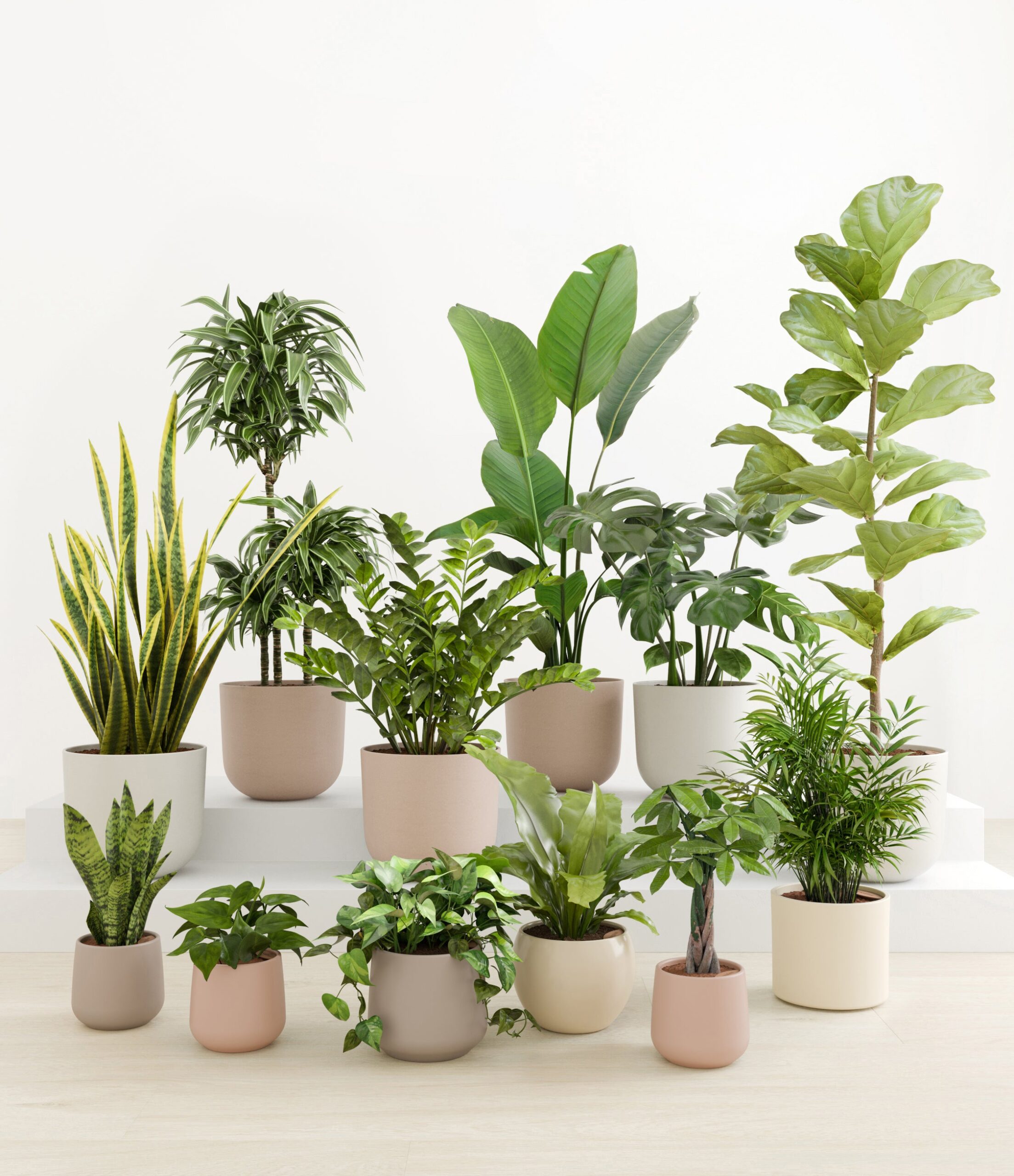 Jaw-Dropping_Jungle_studio_new_palette_0_stands_00c3e266-507b-4e87-8509-c36300c368c1.jpg