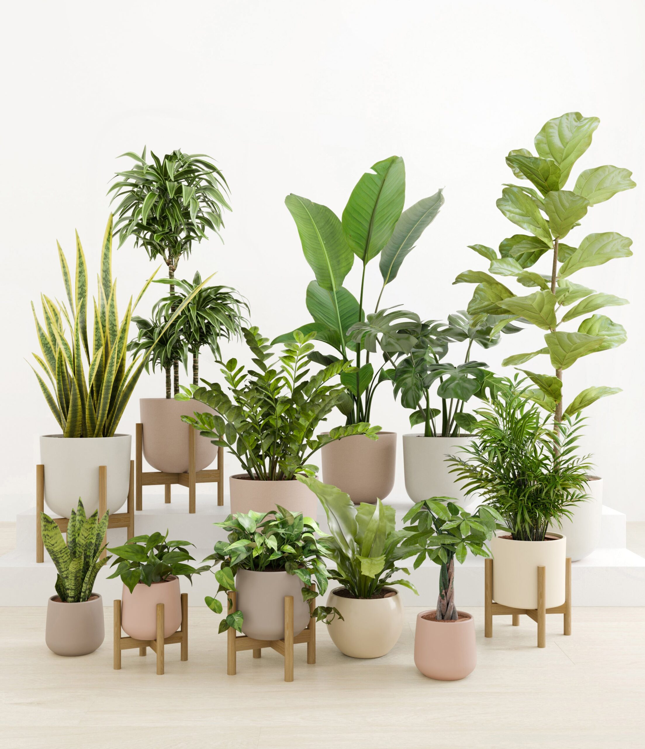 Jaw-Dropping_Jungle_studio_new_palette_5_stands_812593b6-841c-4d65-8c0e-8fbdad07f6c3.jpg
