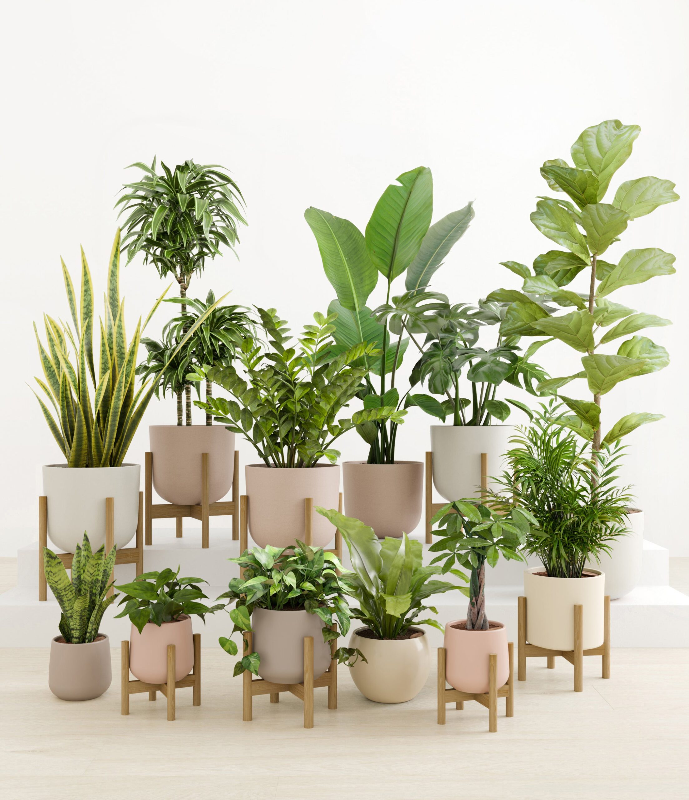 Jaw-Dropping_Jungle_studio_new_palette_8_stands_ba9b43be-5807-452d-9a85-0fad6b3dd838.jpg