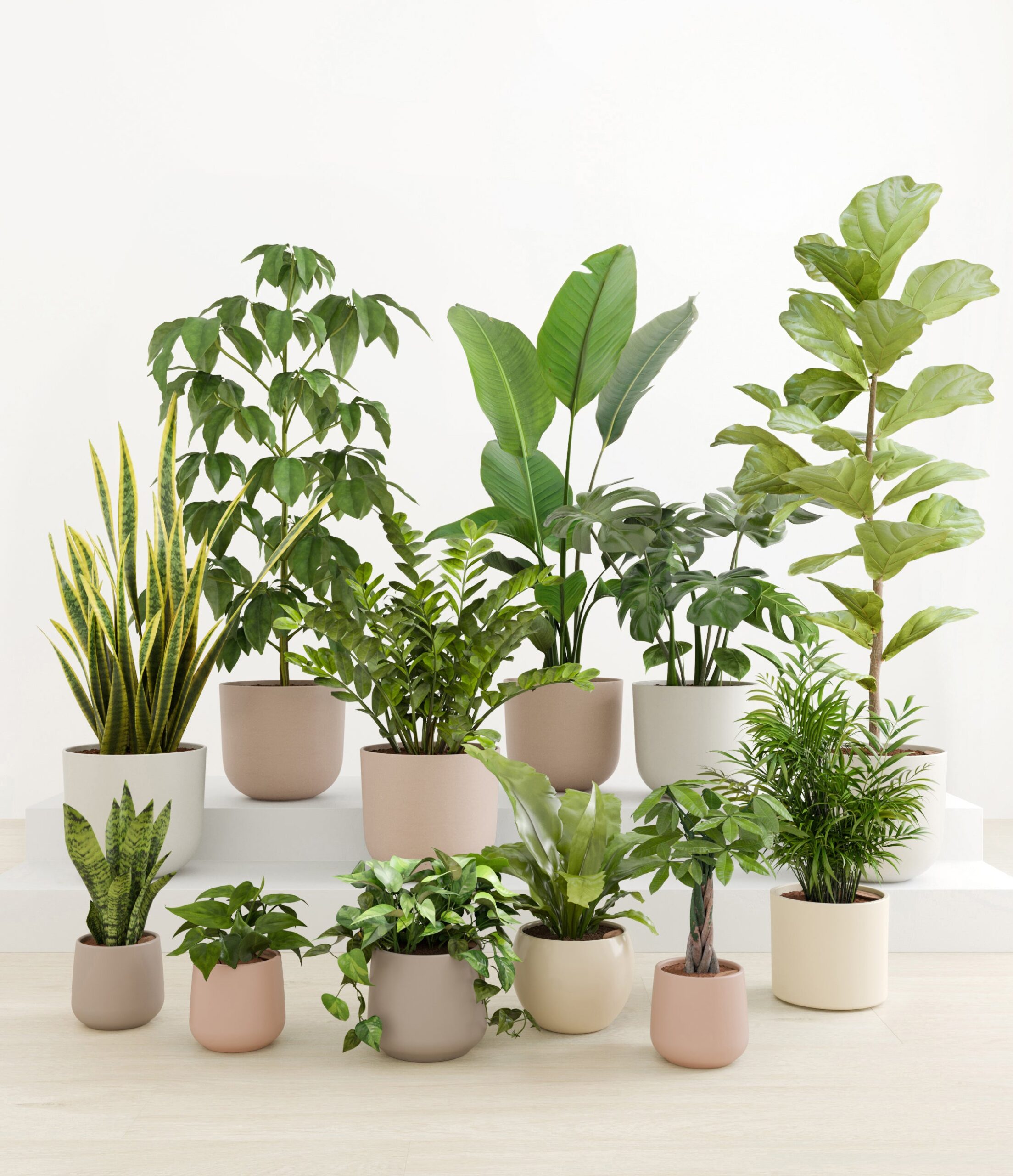 Jaw-Dropping_Jungle_studio_sandy_0_stands.jpg