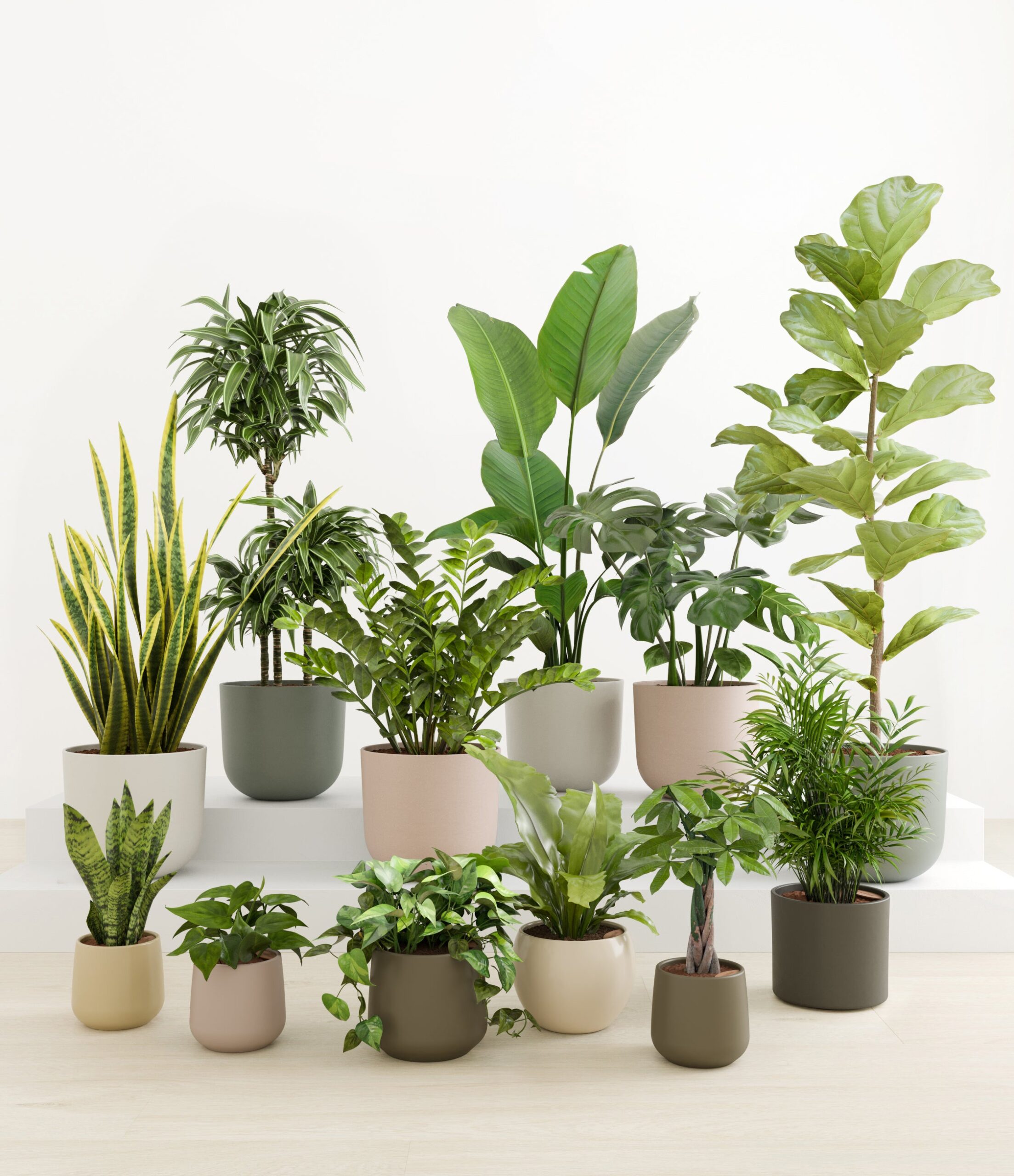 Jaw-Dropping_Jungle_studio_woodland.jpg