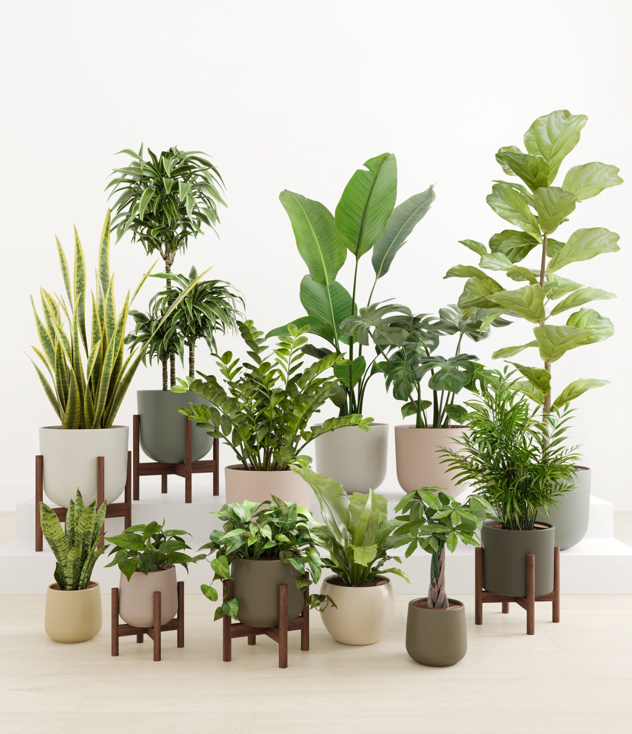 Jaw-Dropping_Jungle_studio_woodland_5_stands.jpg