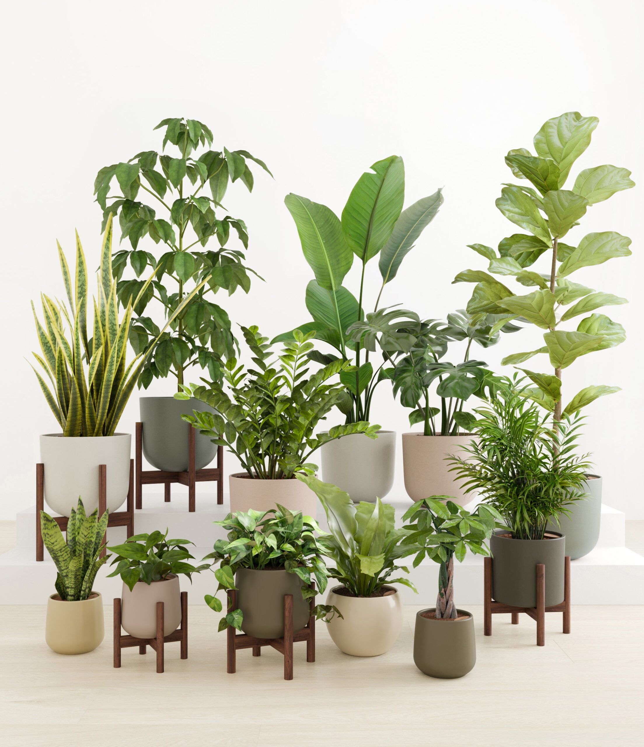 Jaw-Dropping_Jungle_studio_woodland_5_stands_29ccd37c-c34b-4032-99ac-b4450ede2a04.jpg