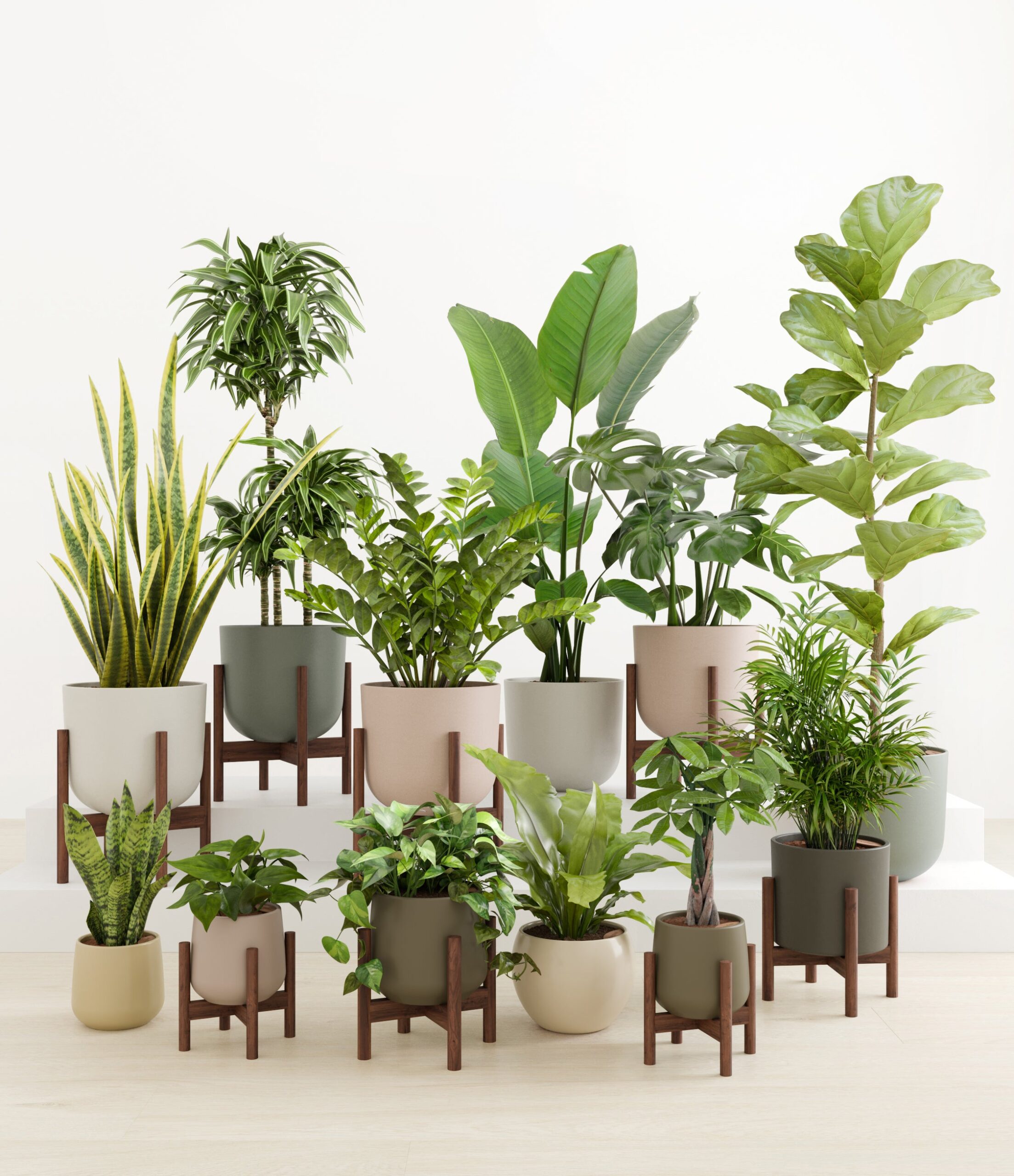 Jaw-Dropping_Jungle_studio_woodland_8_stands.jpg
