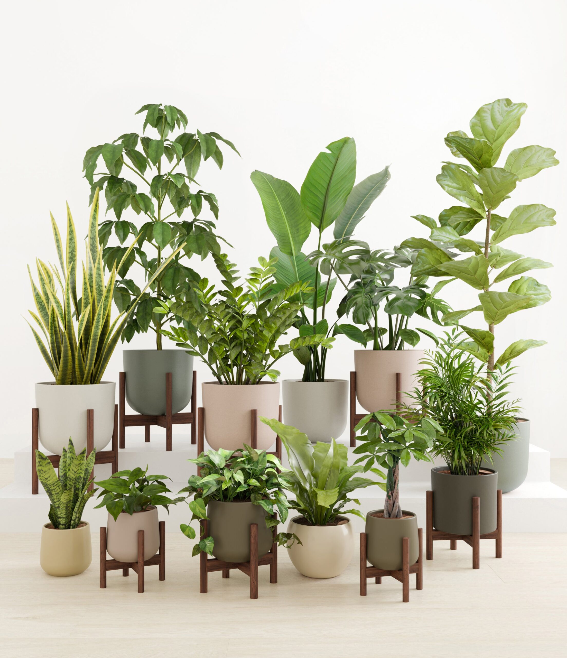 Jaw-Dropping_Jungle_studio_woodland_8_stands_7a040150-17c9-43e4-858a-bdc6d4e55e27.jpg