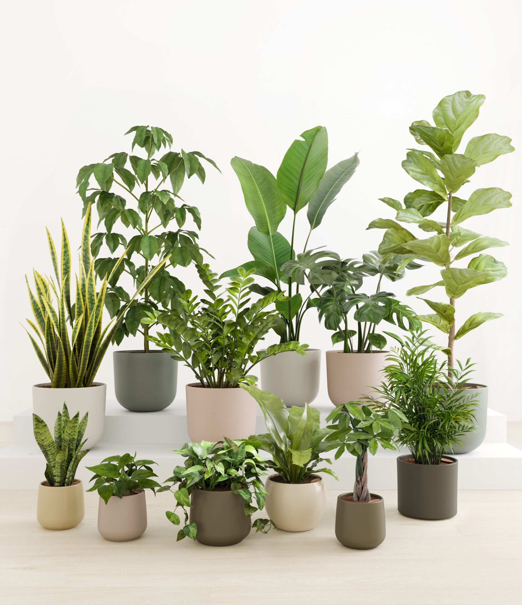 Jaw-Dropping_Jungle_studio_woodland_d1ad2df6-7ceb-451d-b1ed-f232d802ac1a.jpg