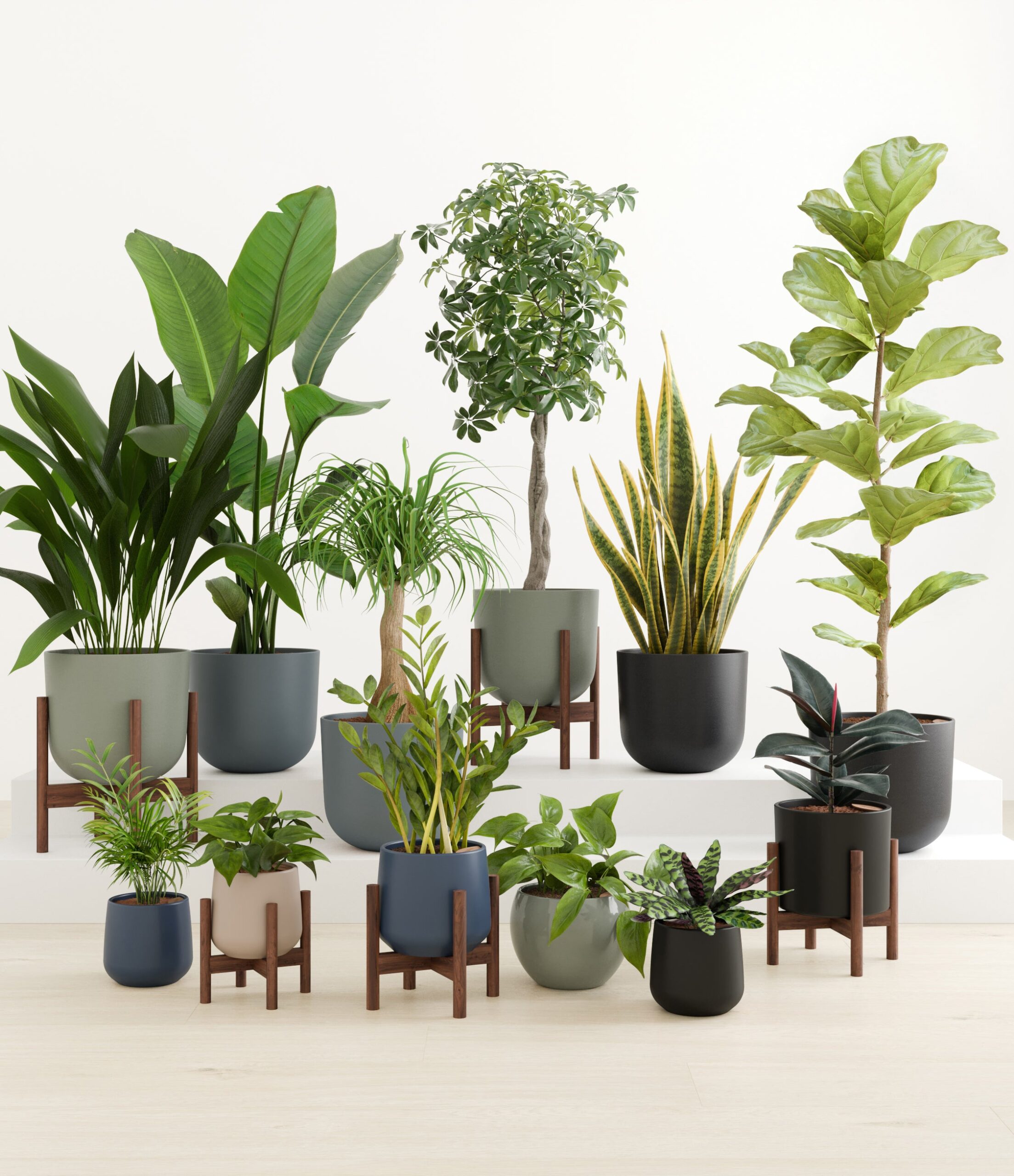 Jaw-dropping_sub_deep_forest_palette_5_stands.jpg