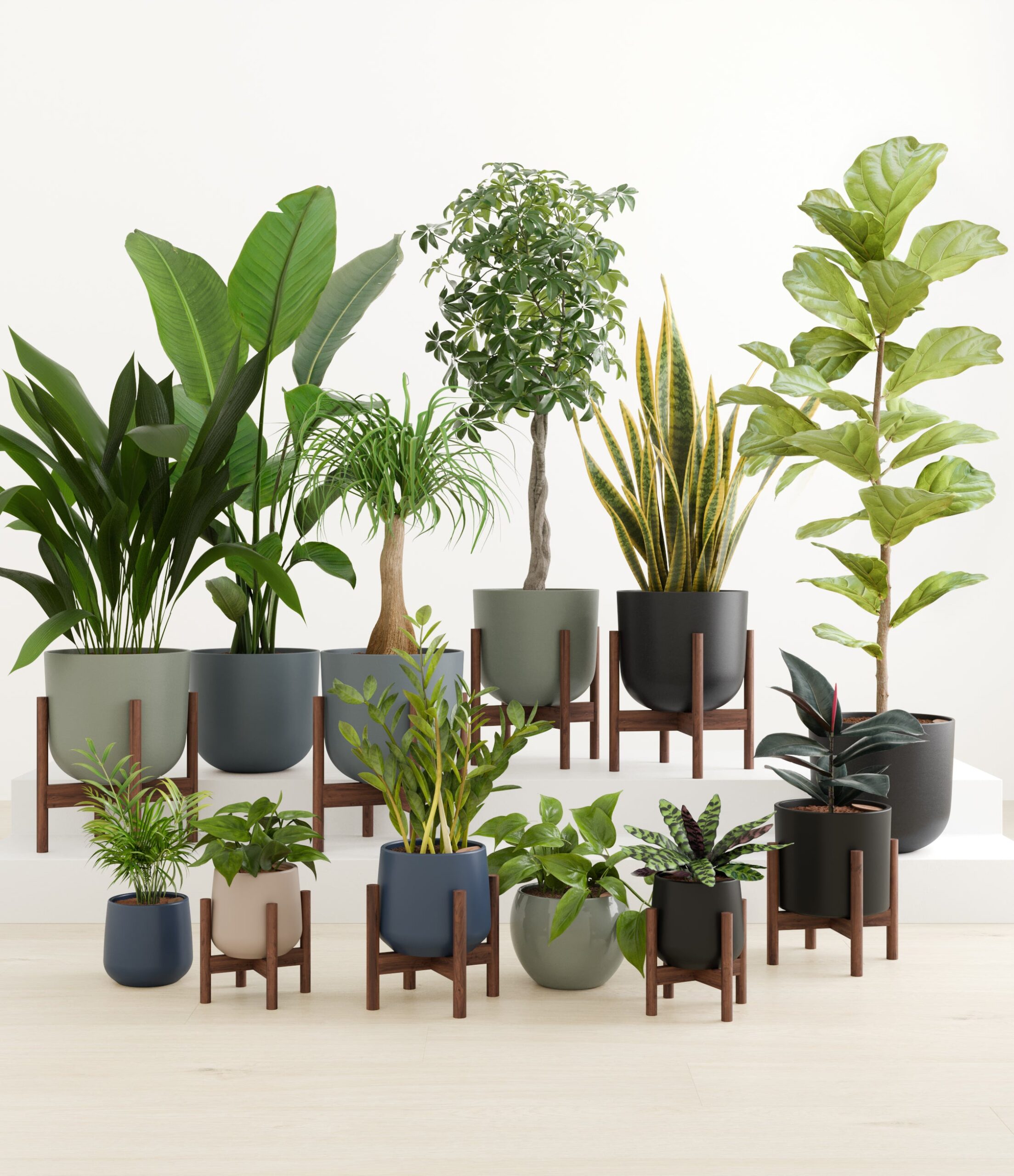 Jaw-dropping_sub_deep_forest_palette_8_stands.jpg