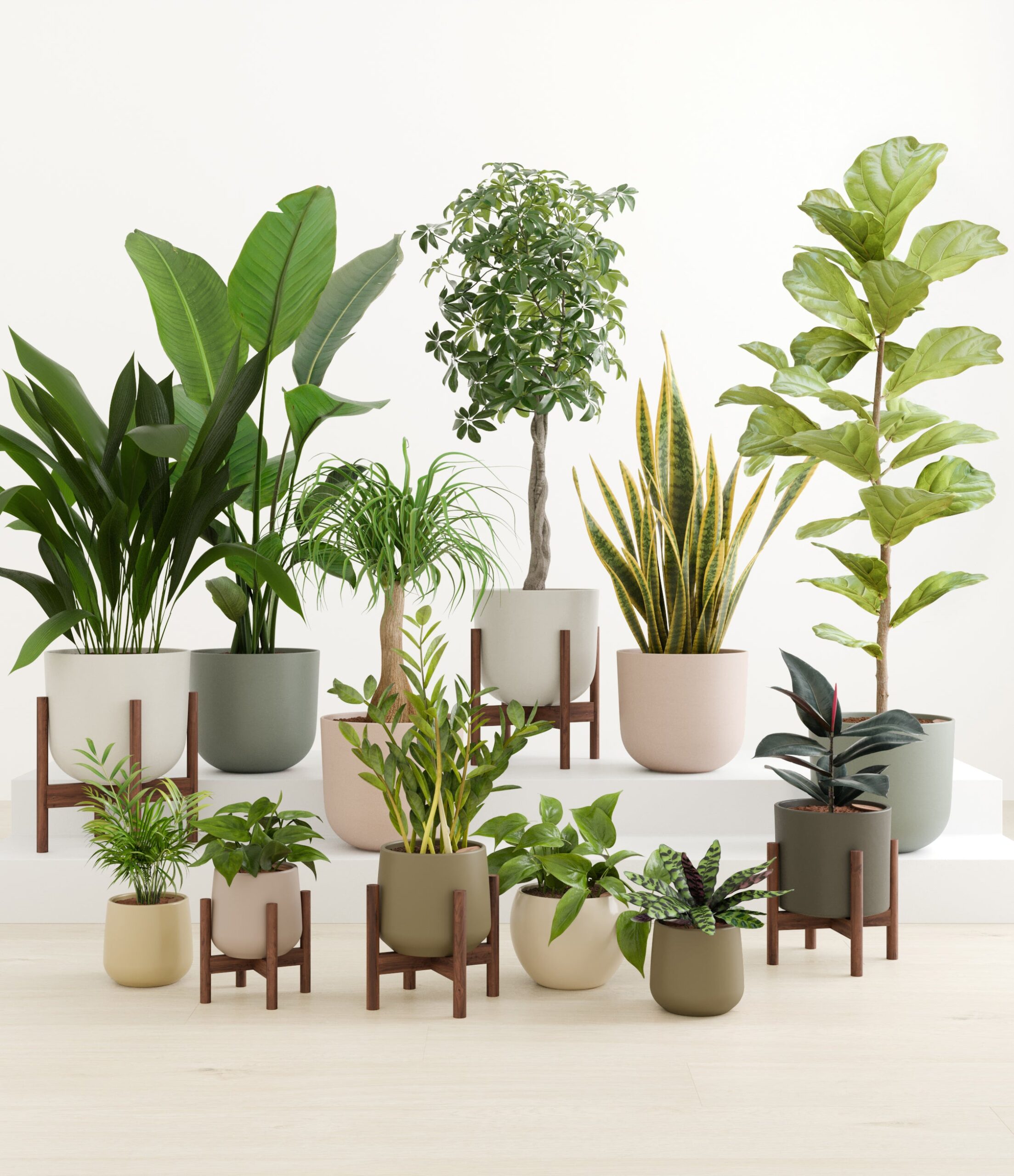 Jaw-dropping_sub_woodland_palette_5_stands.jpg