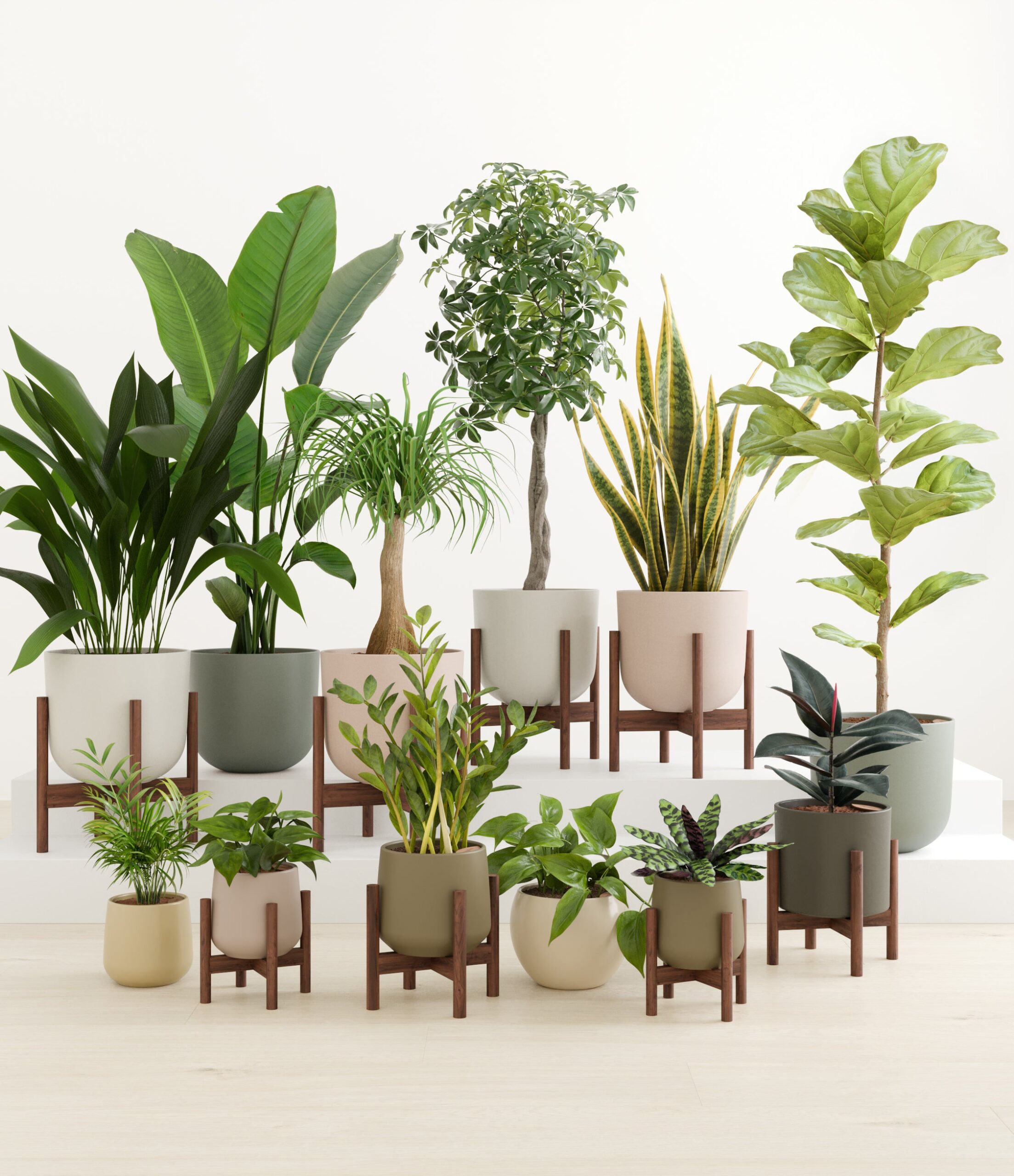 Jaw-dropping_sub_woodland_palette_8_stands.jpg