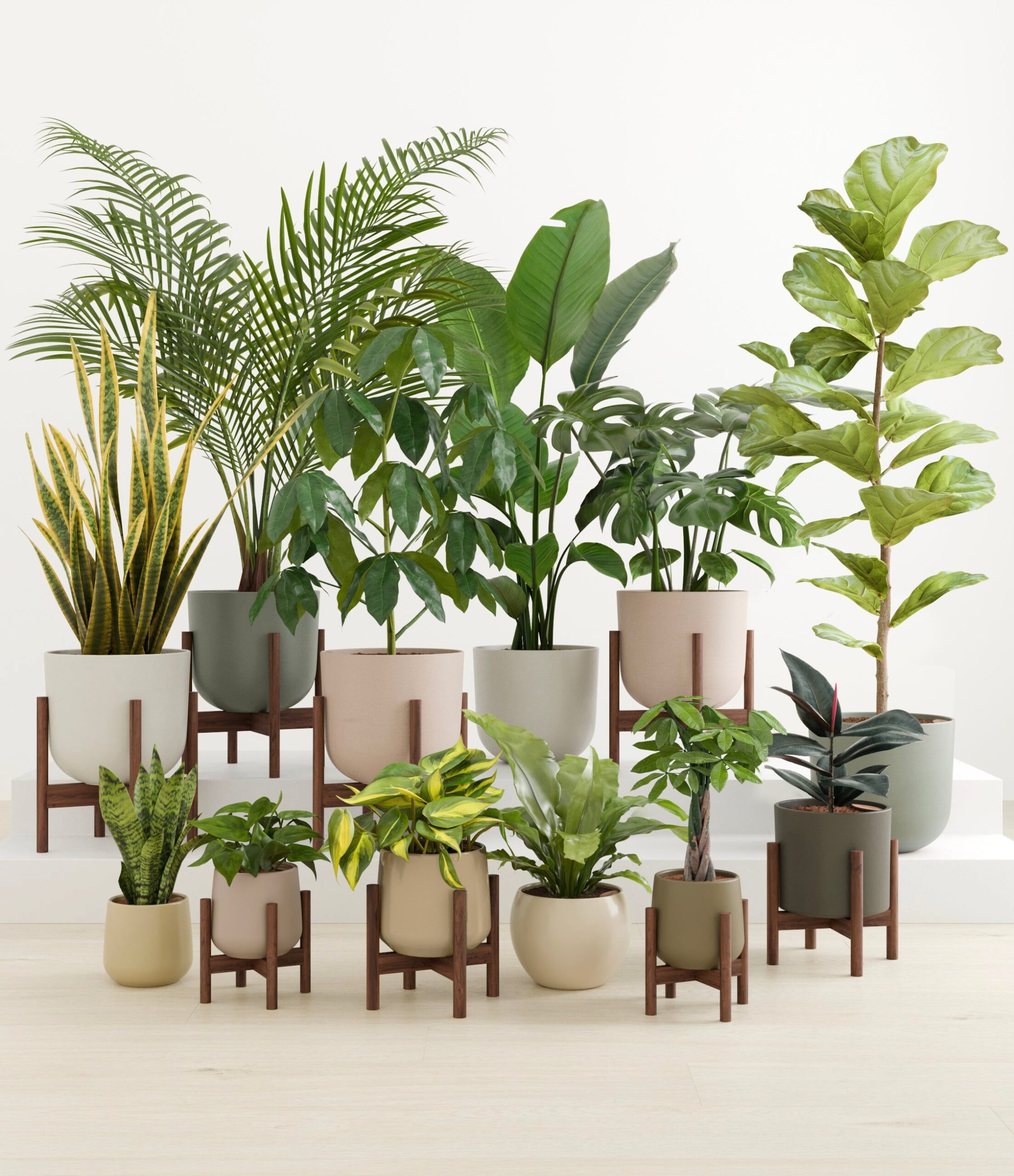 Jaw-dropping_sub_woodland_palette_8_stands_copy_copy.jpg