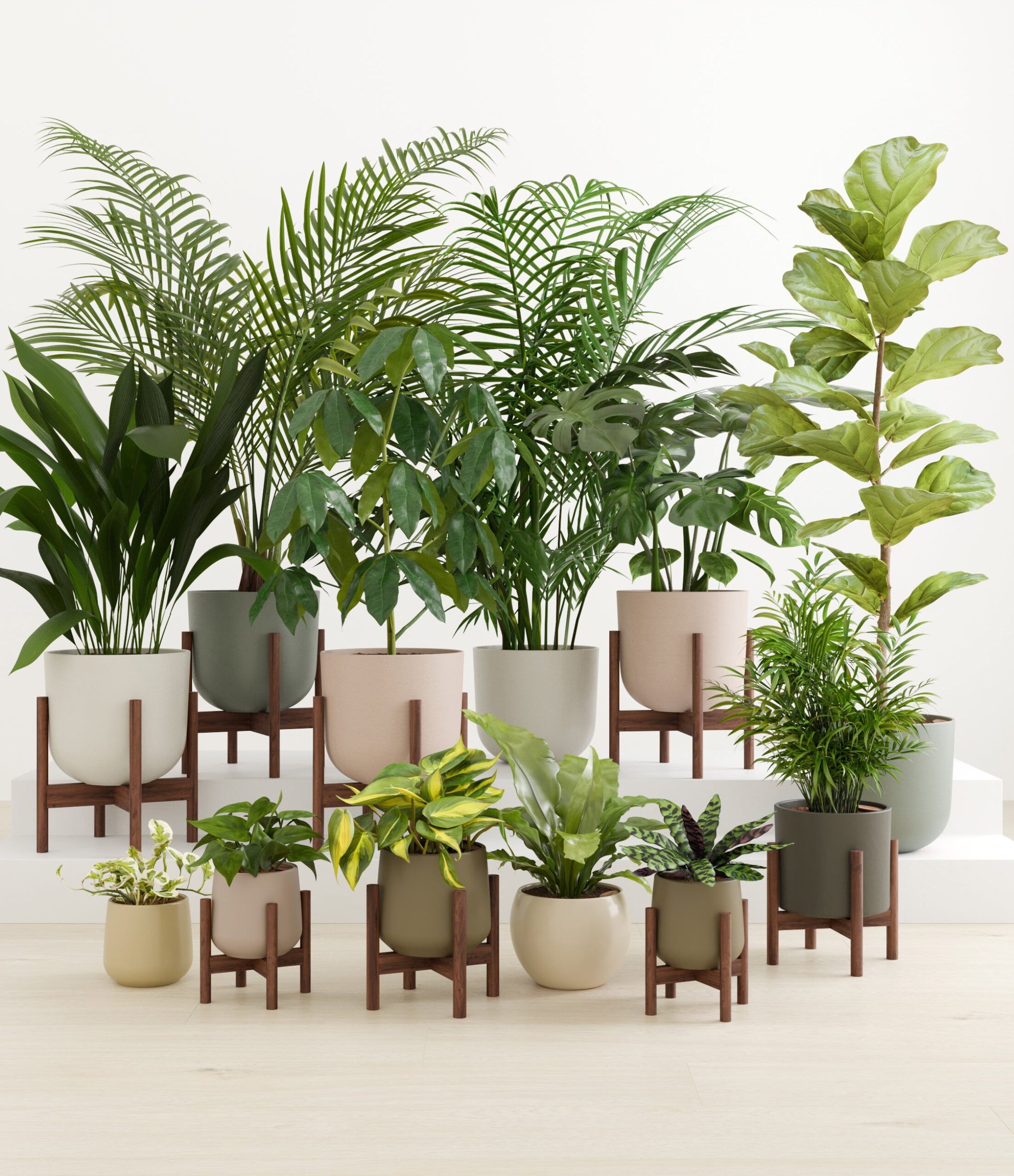 Jaw-dropping_woodland_palette_8_stands_3d789852-062d-46ff-a8b0-66aedc691f26.jpg