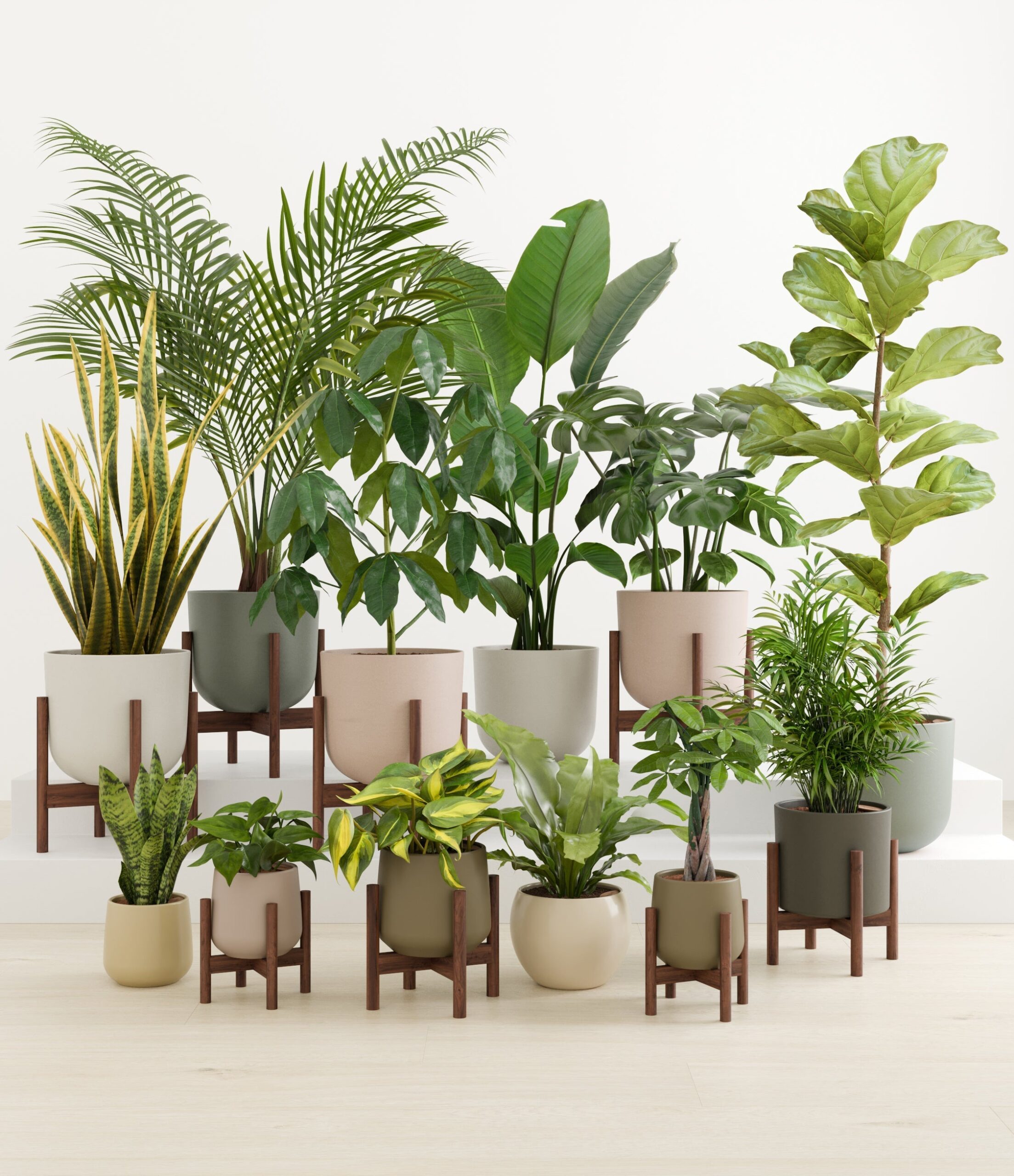 Jaw-dropping_woodland_palette_8_stands_61c61a1c-3441-4eba-b137-f368078ba9f7.jpg