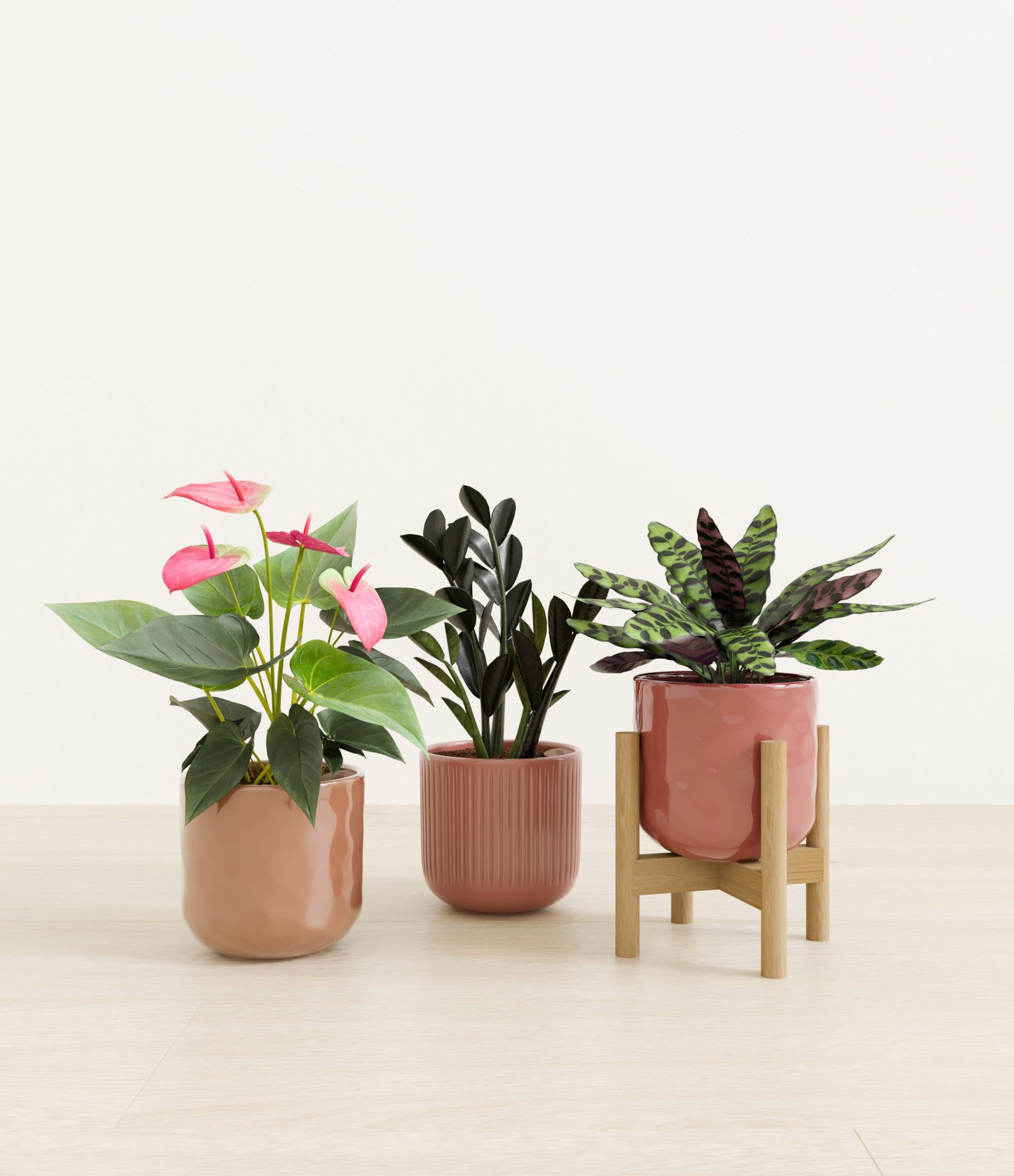 Love_spell_trio_USA_studio_blush_harmony_palette_1_stands.jpg