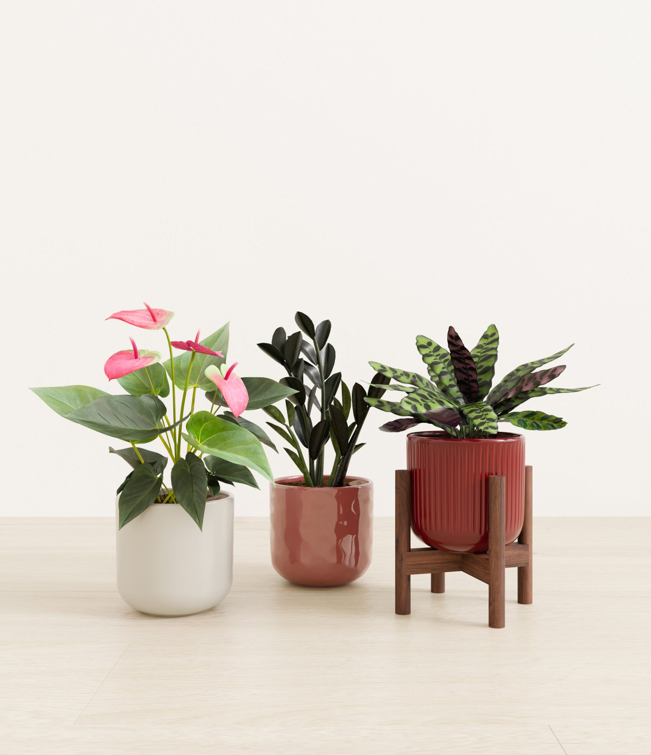 Love_spell_trio_USA_studio_coral_elegance_palette_1_stands.jpg