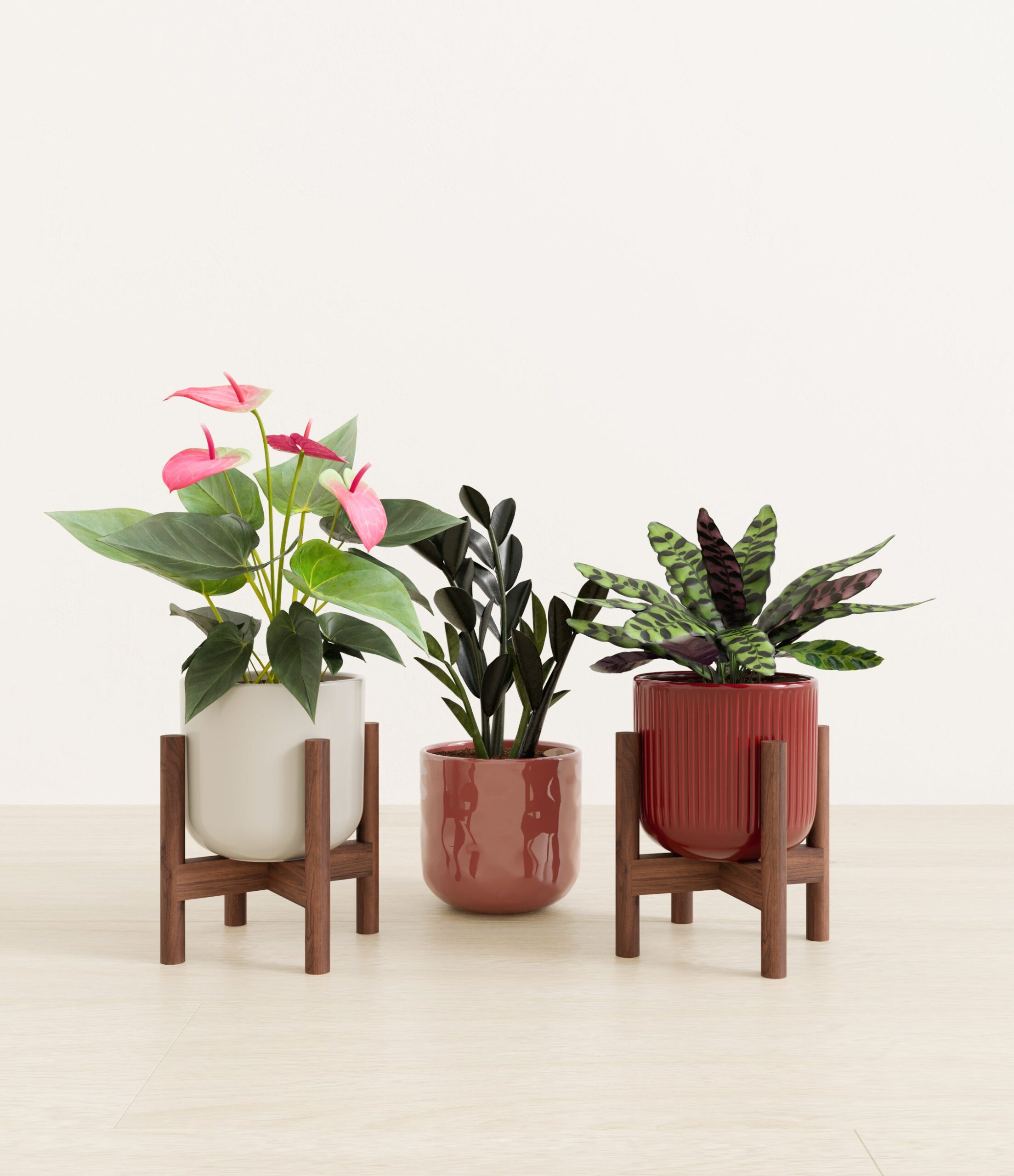 Love_spell_trio_USA_studio_coral_elegance_palette_2_stands.jpg