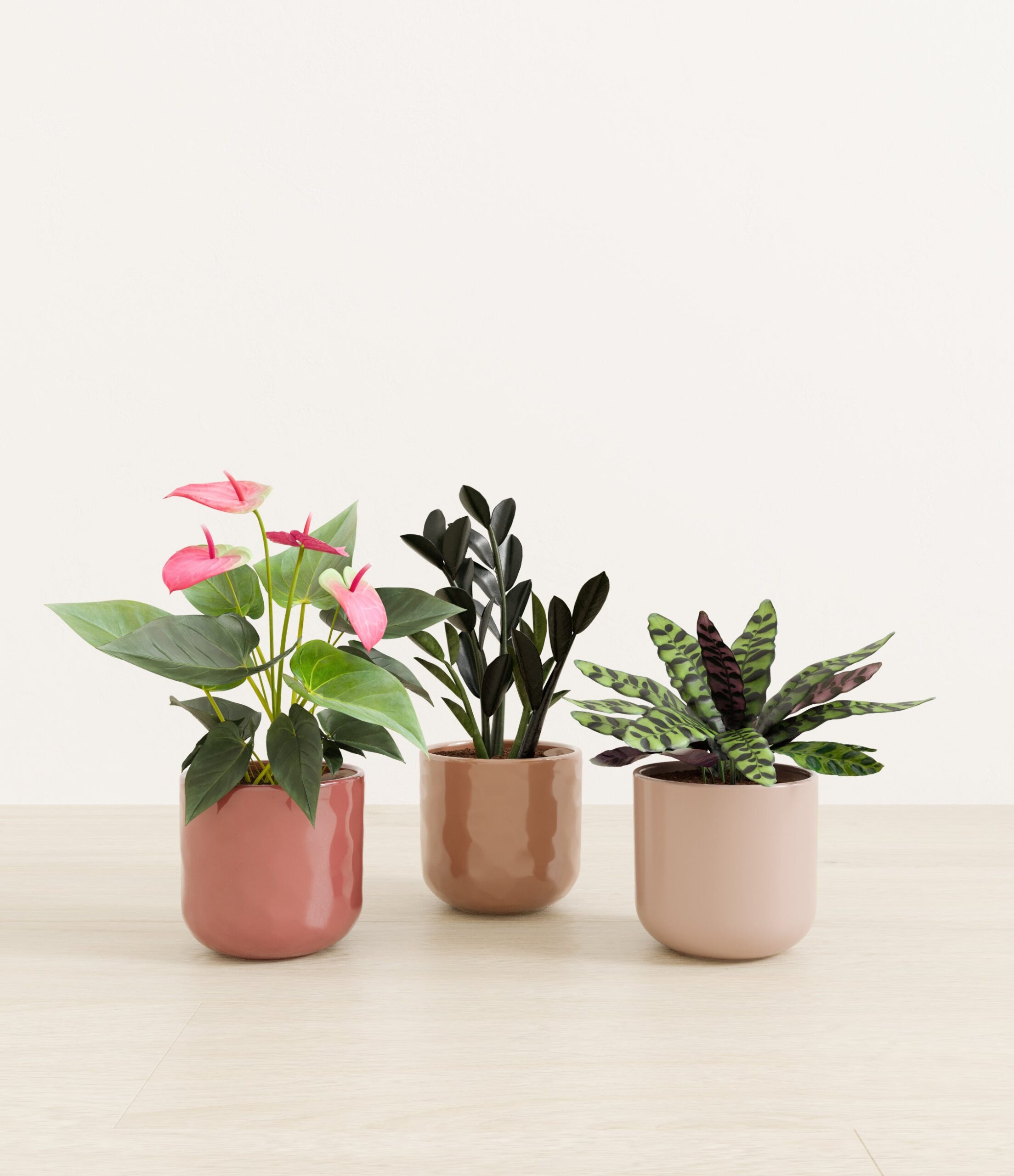 Love_spell_trio_USA_studio_peaches_and_cream_palette_0_stands.jpg