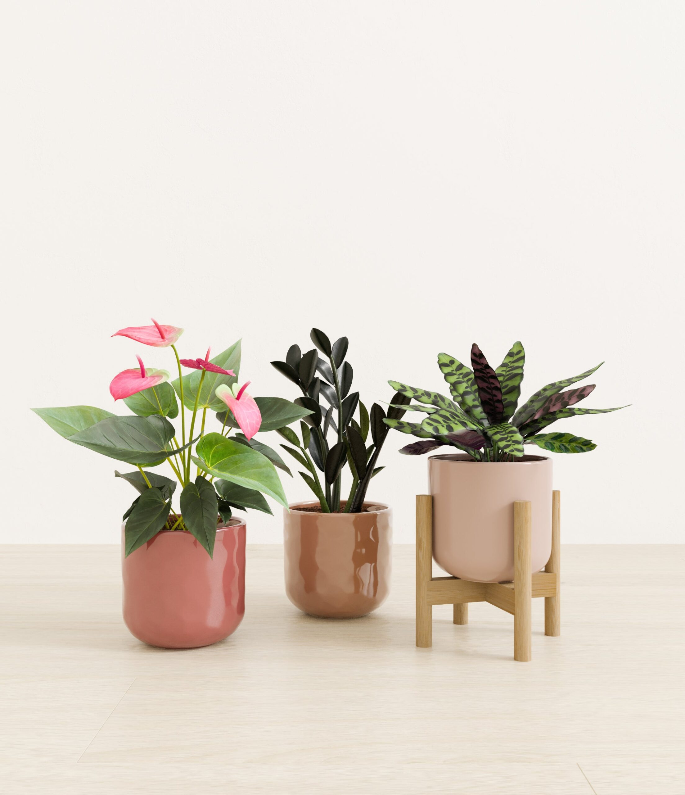 Love_spell_trio_USA_studio_peaches_and_cream_palette_1_stands.jpg