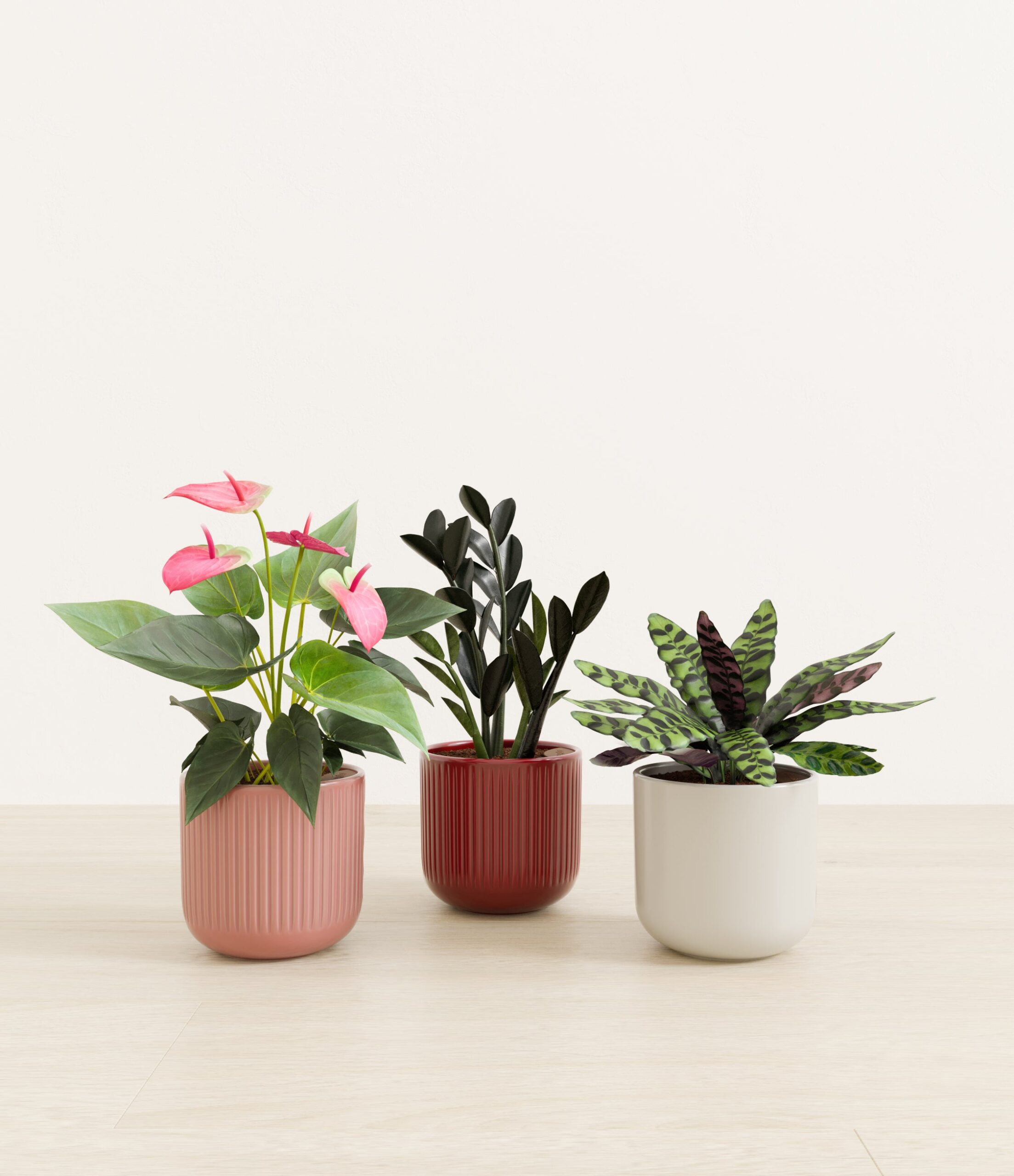 Love_spell_trio_USA_studio_rustic_rouge_palette_0_stands.jpg
