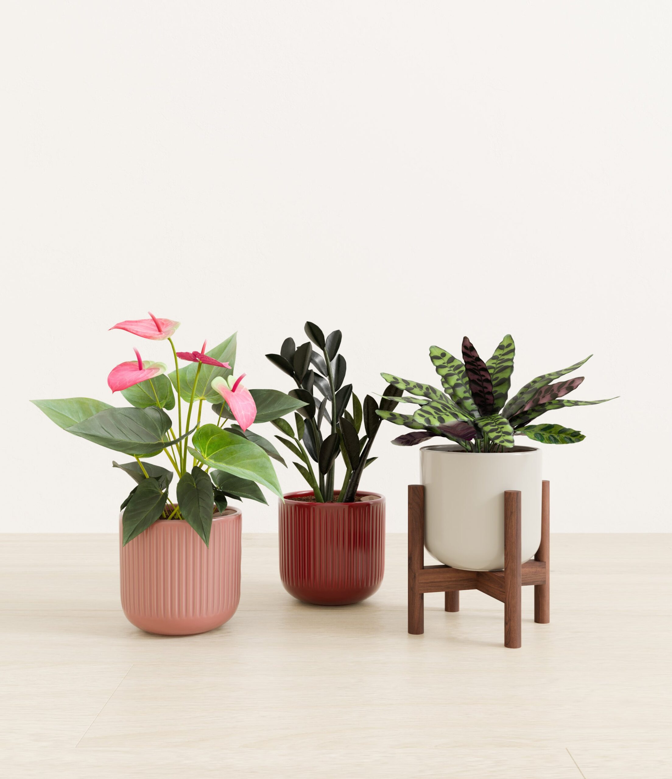 Love_spell_trio_USA_studio_rustic_rouge_palette_1_stands.jpg