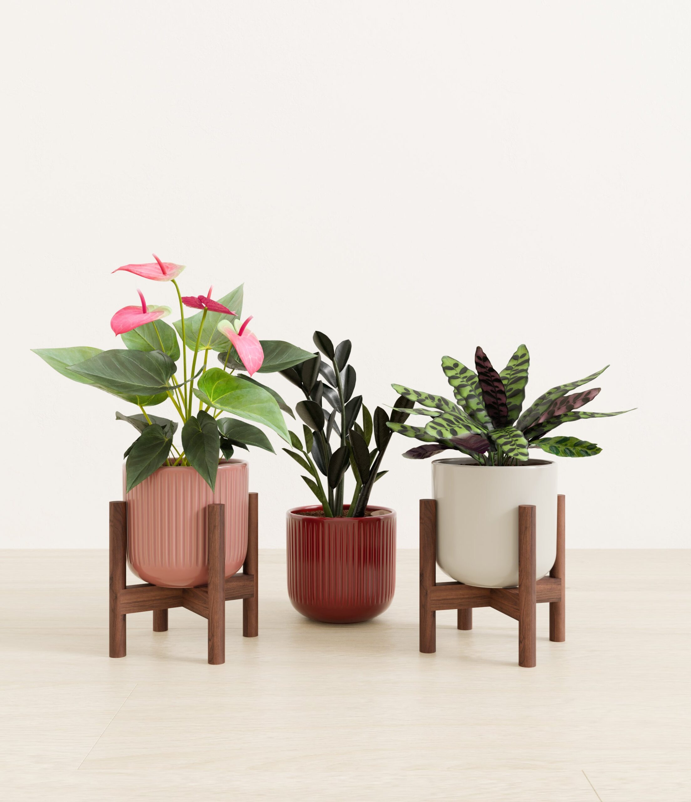 Love_spell_trio_USA_studio_rustic_rouge_palette_2_stands.jpg