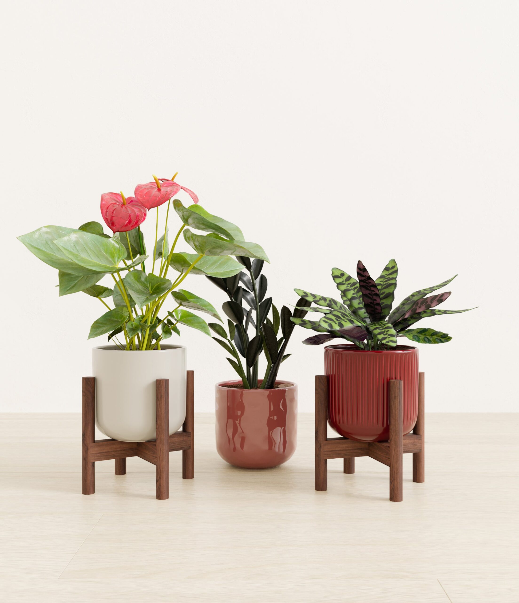 Love_spell_trio_USA_studio_sub_coral_elegance_palette_2_stands.jpg