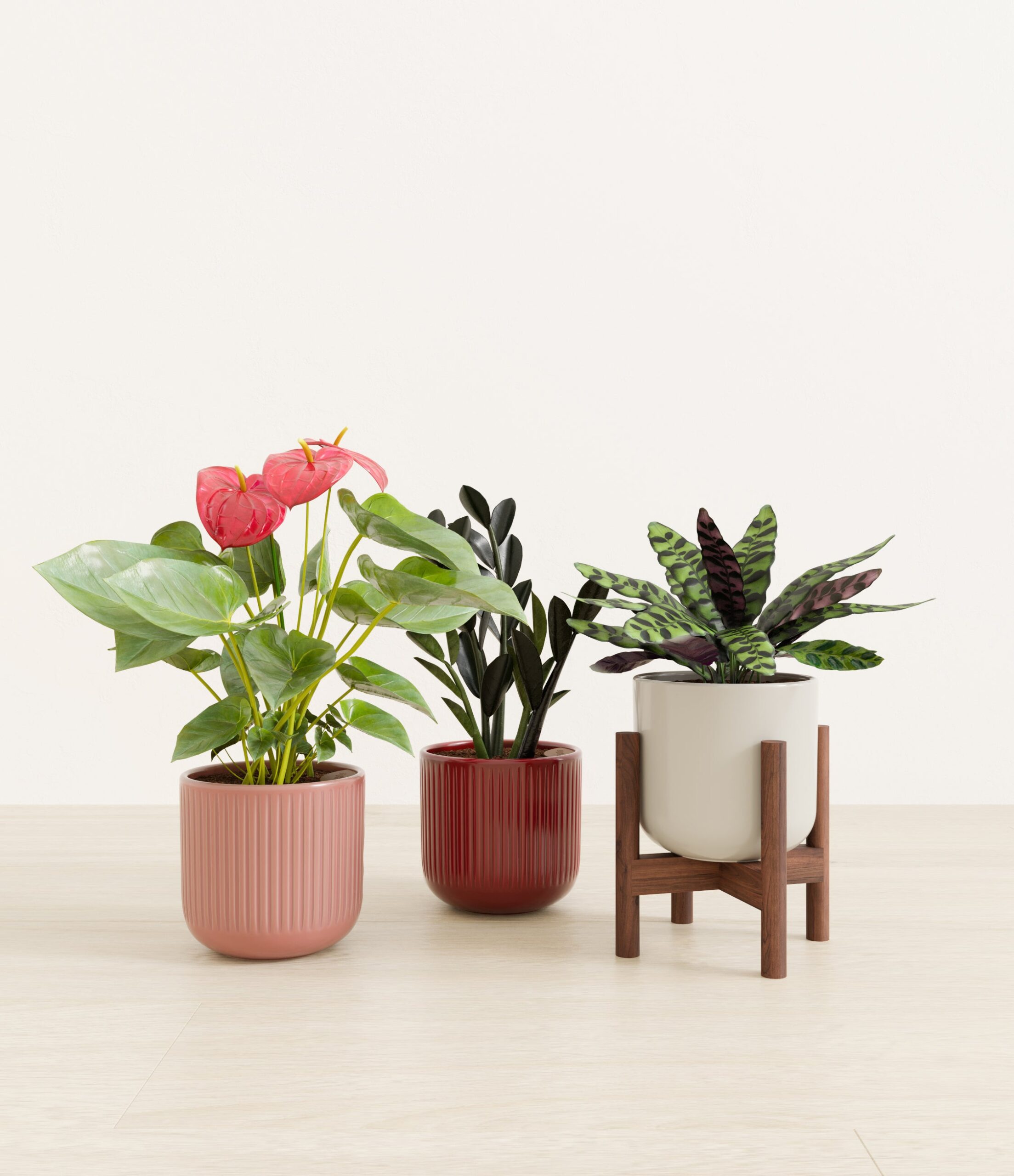Love_spell_trio_USA_studio_sub_rustic_rouge_palette_1_stands.jpg
