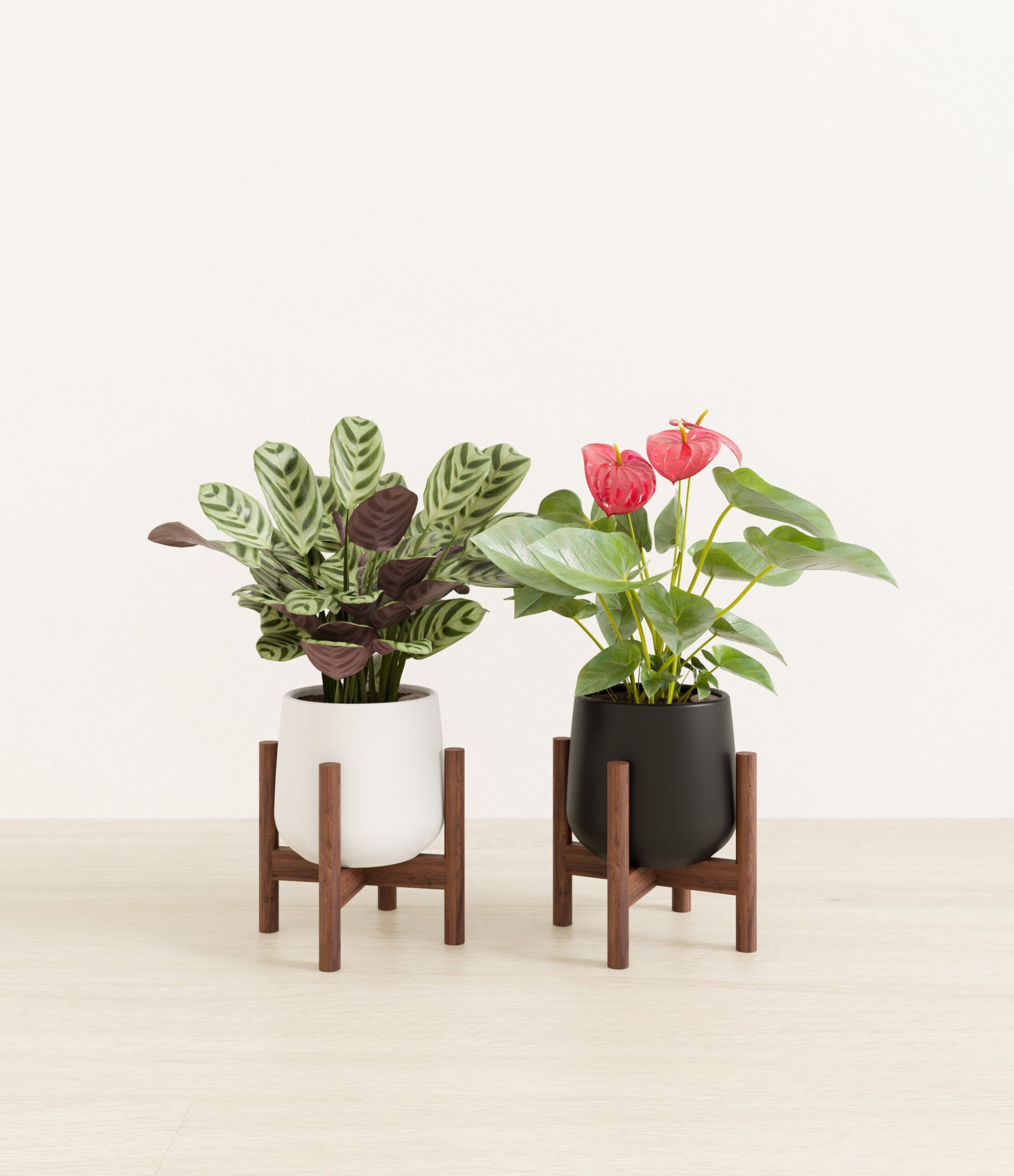 Mothers_Day_Duo_US_studio_orca_palette_2_stands.jpg