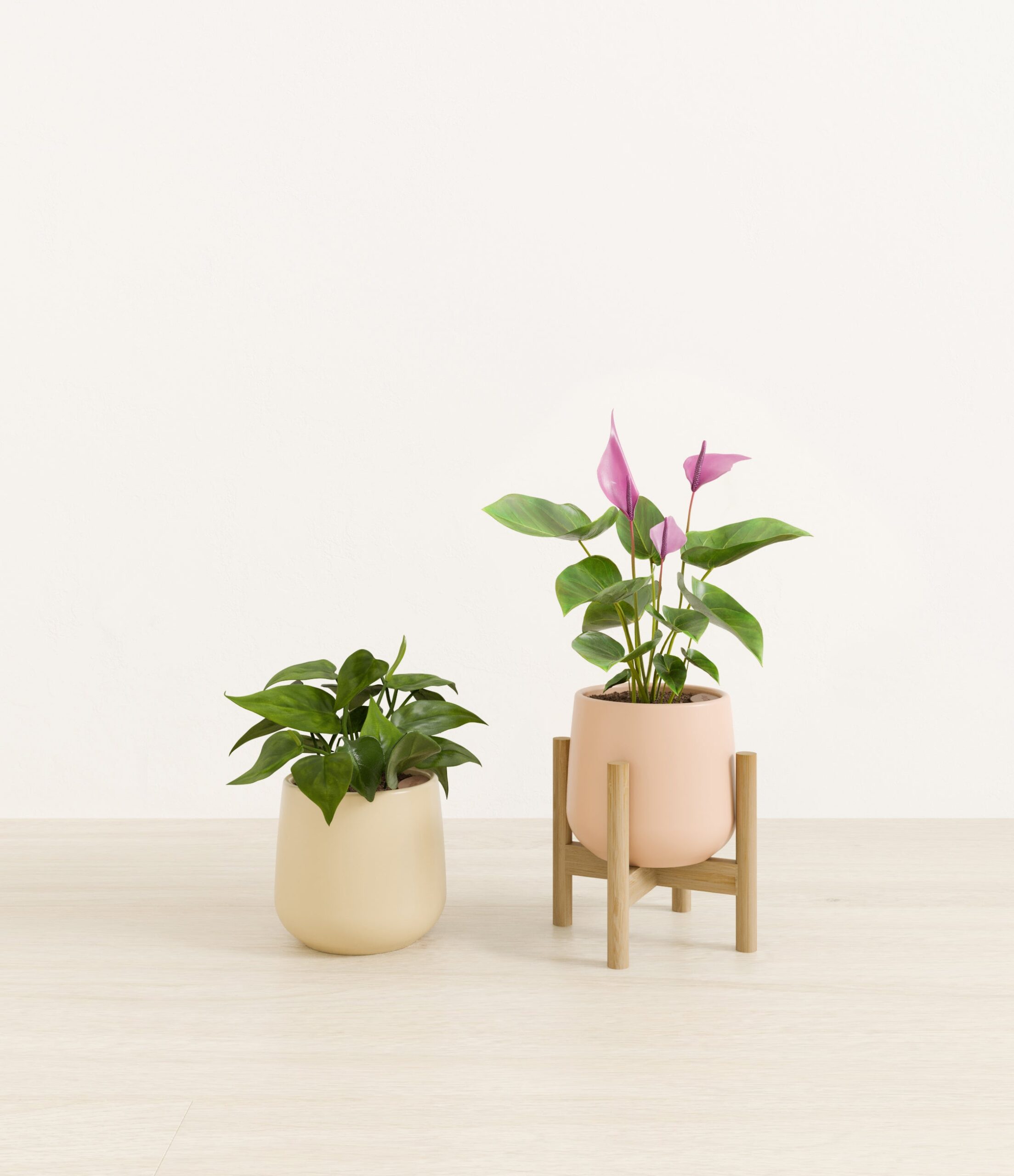 Mothers_Day_Duo_studio_desert_palette_1_stands.jpg