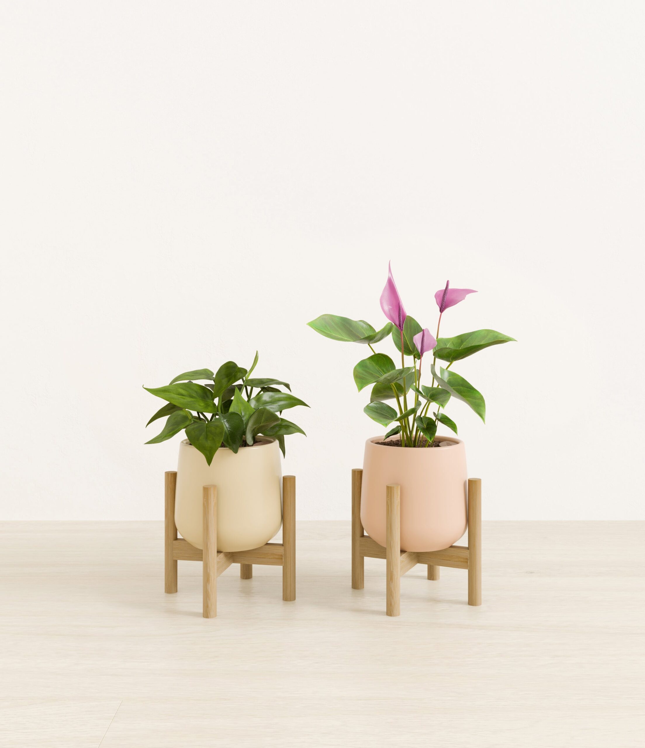 Mothers_Day_Duo_studio_desert_palette_2_stands.jpg