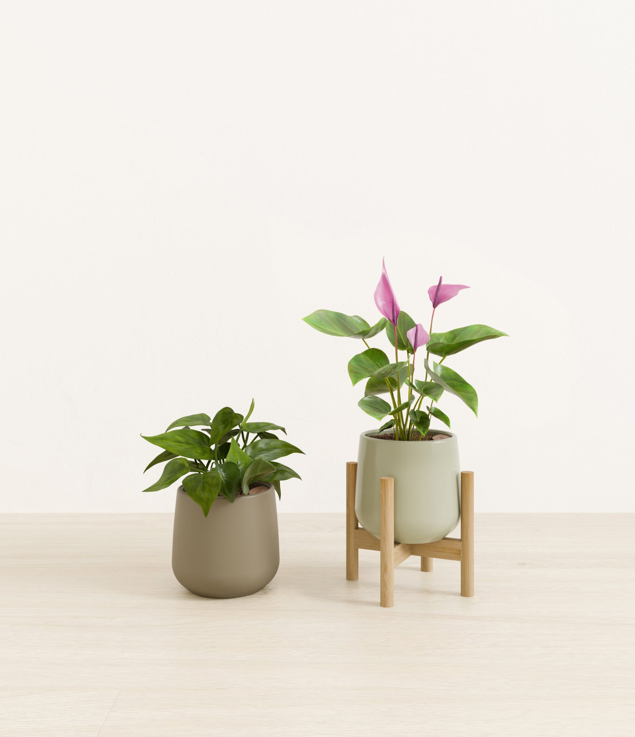 Mothers_Day_Duo_studio_evergreen_palette_1_stands.jpg