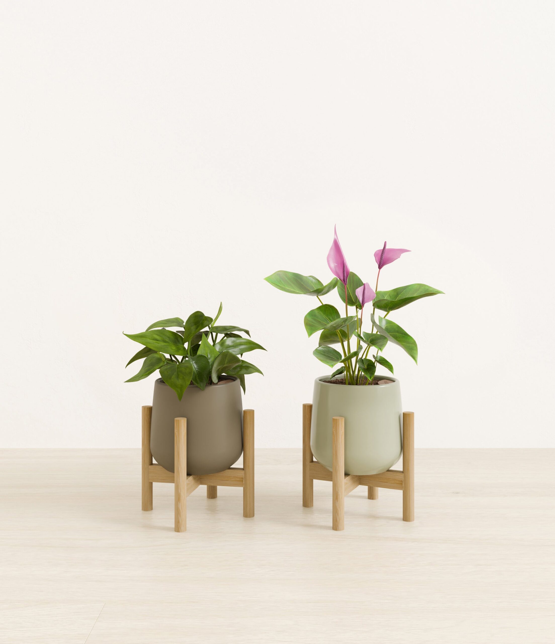 Mothers_Day_Duo_studio_evergreen_palette_2_stands.jpg
